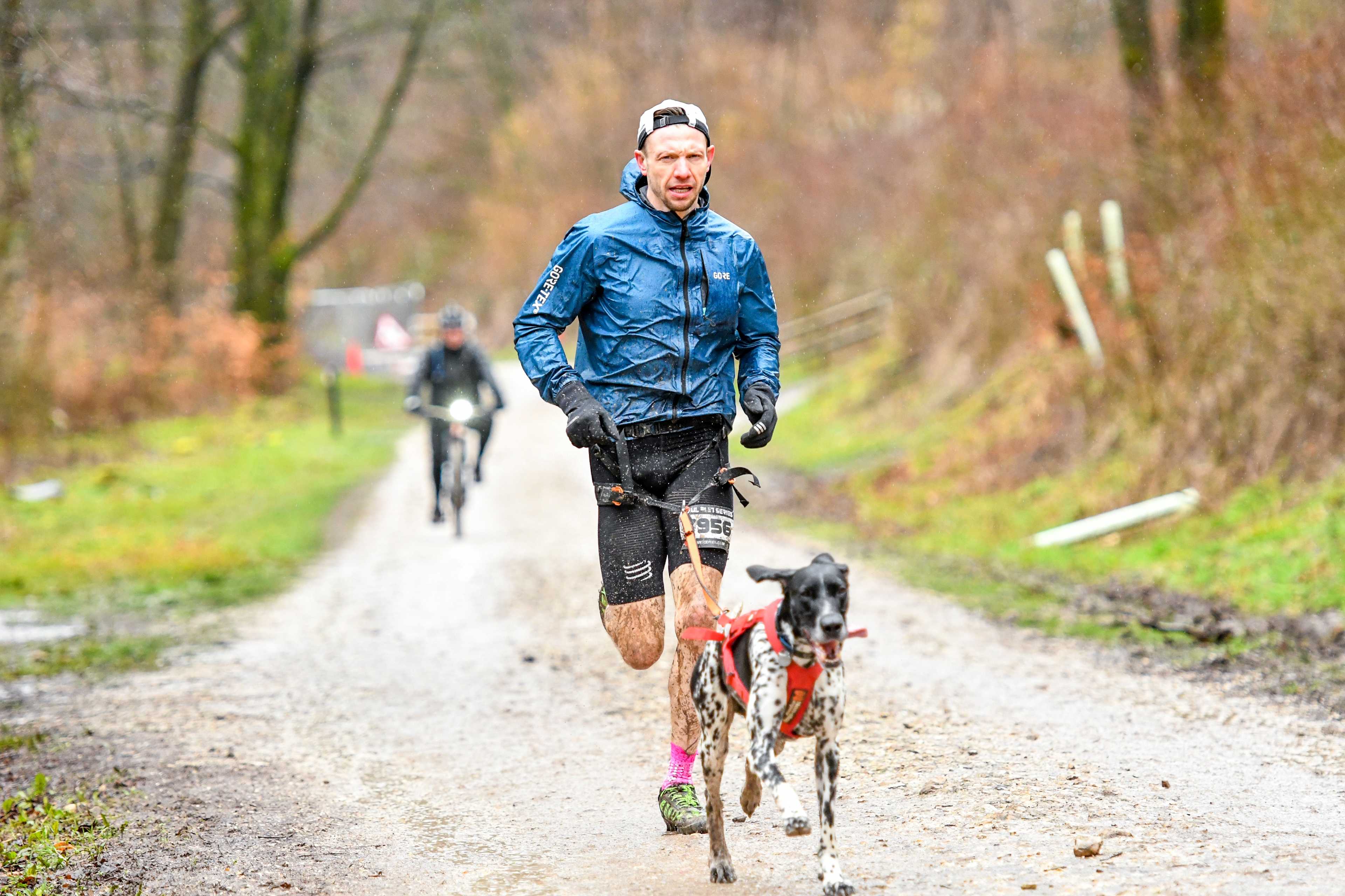 Secondary header image