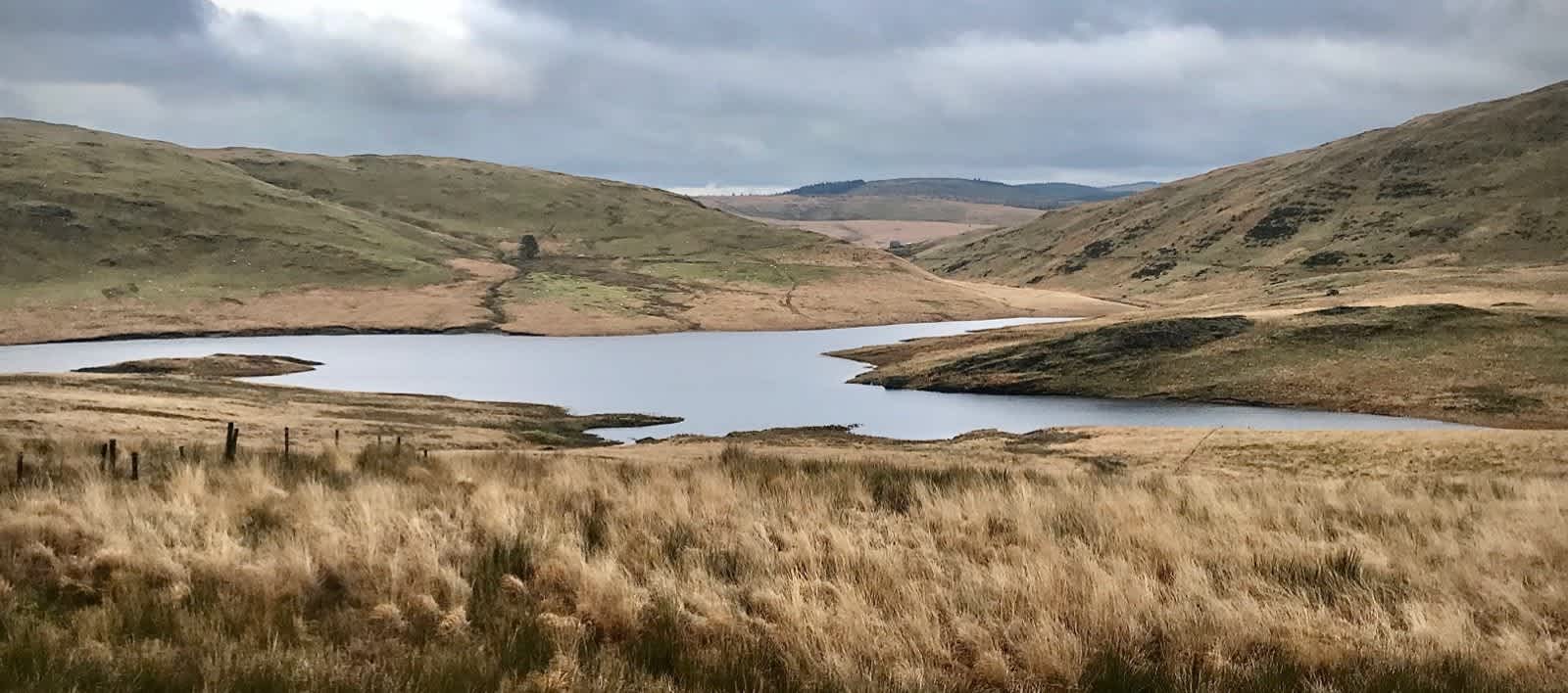 Secondary header image