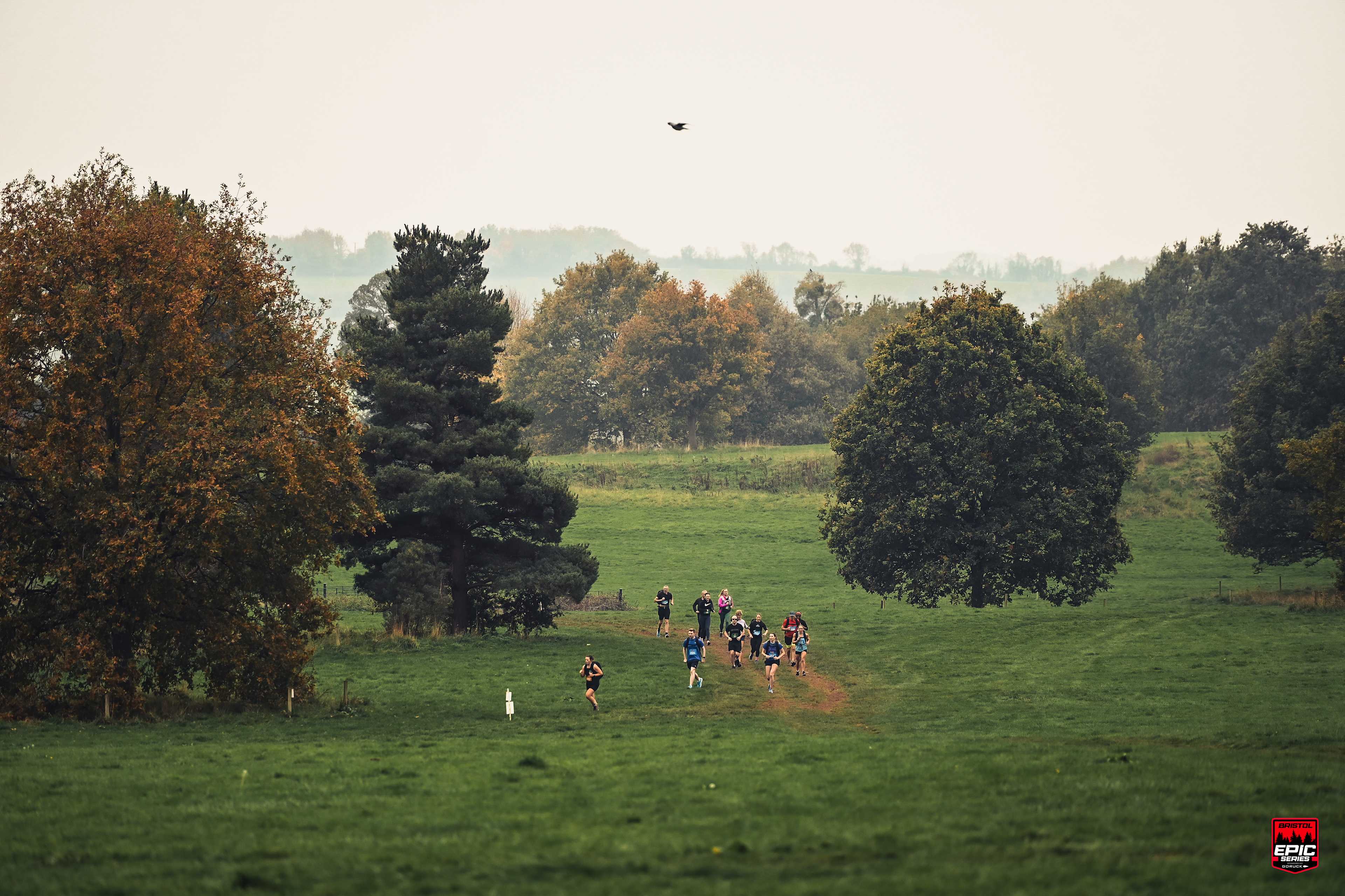 Secondary header image