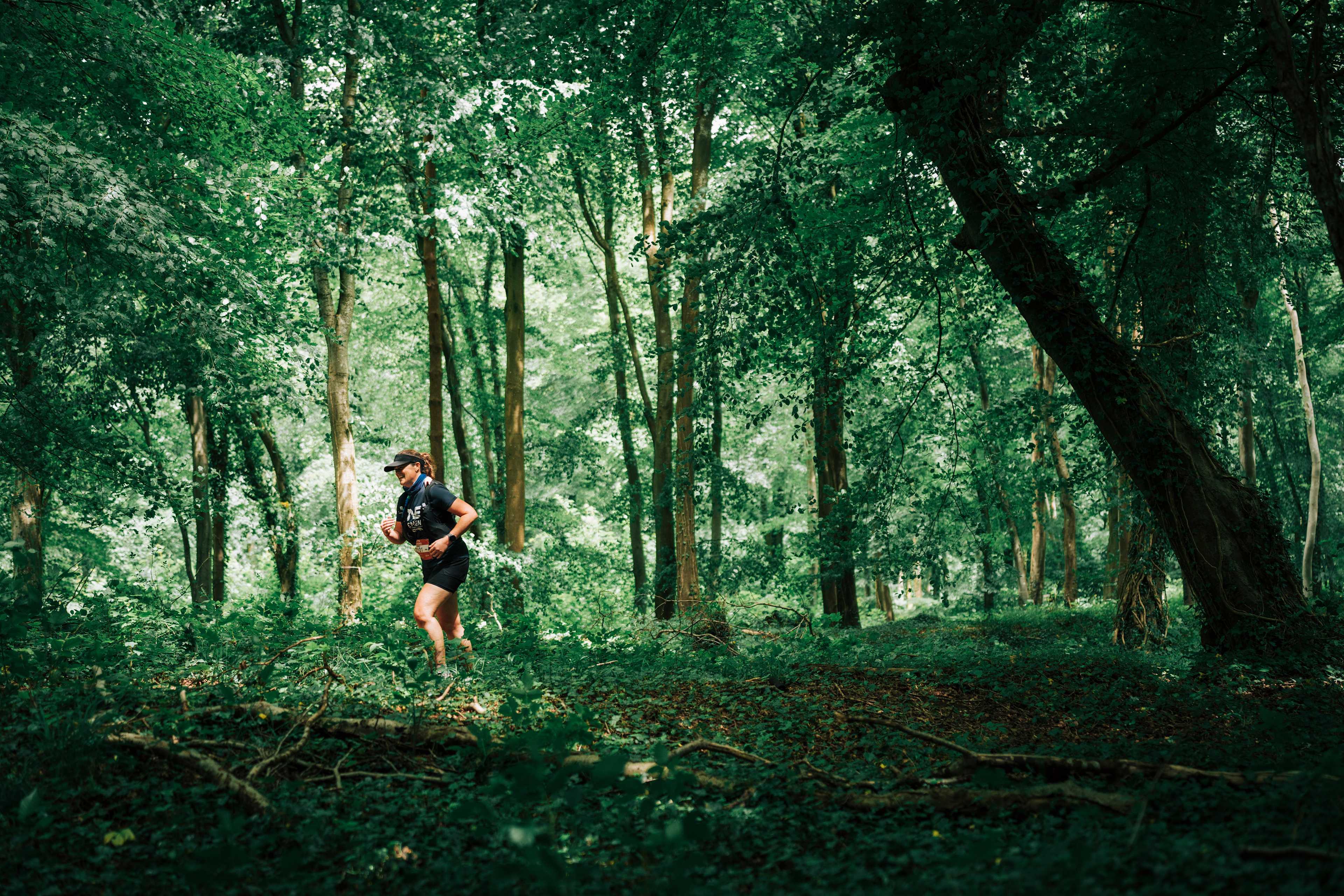 Secondary header image