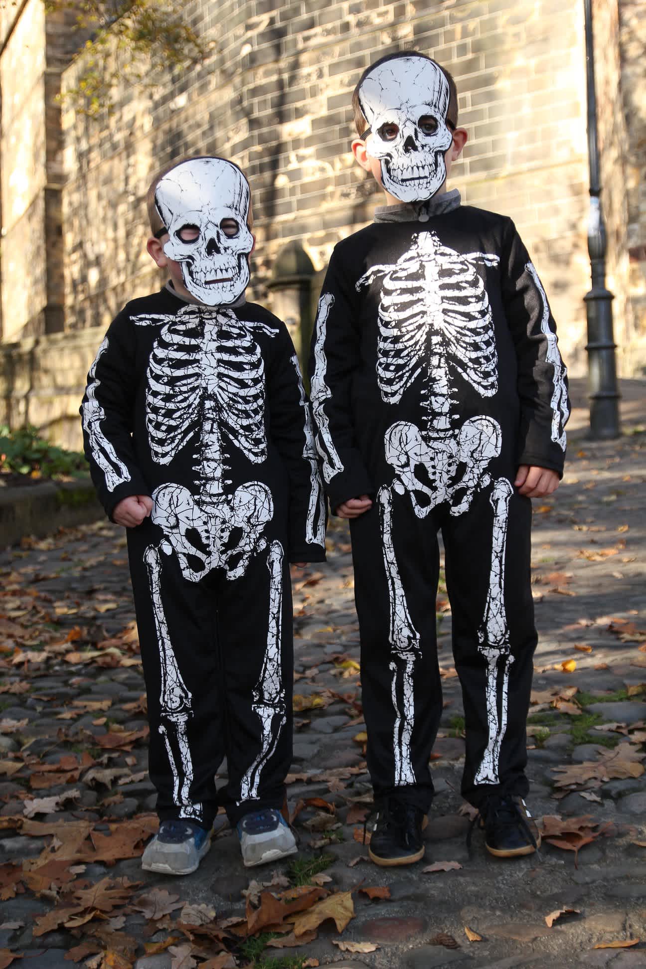 Secondary header image