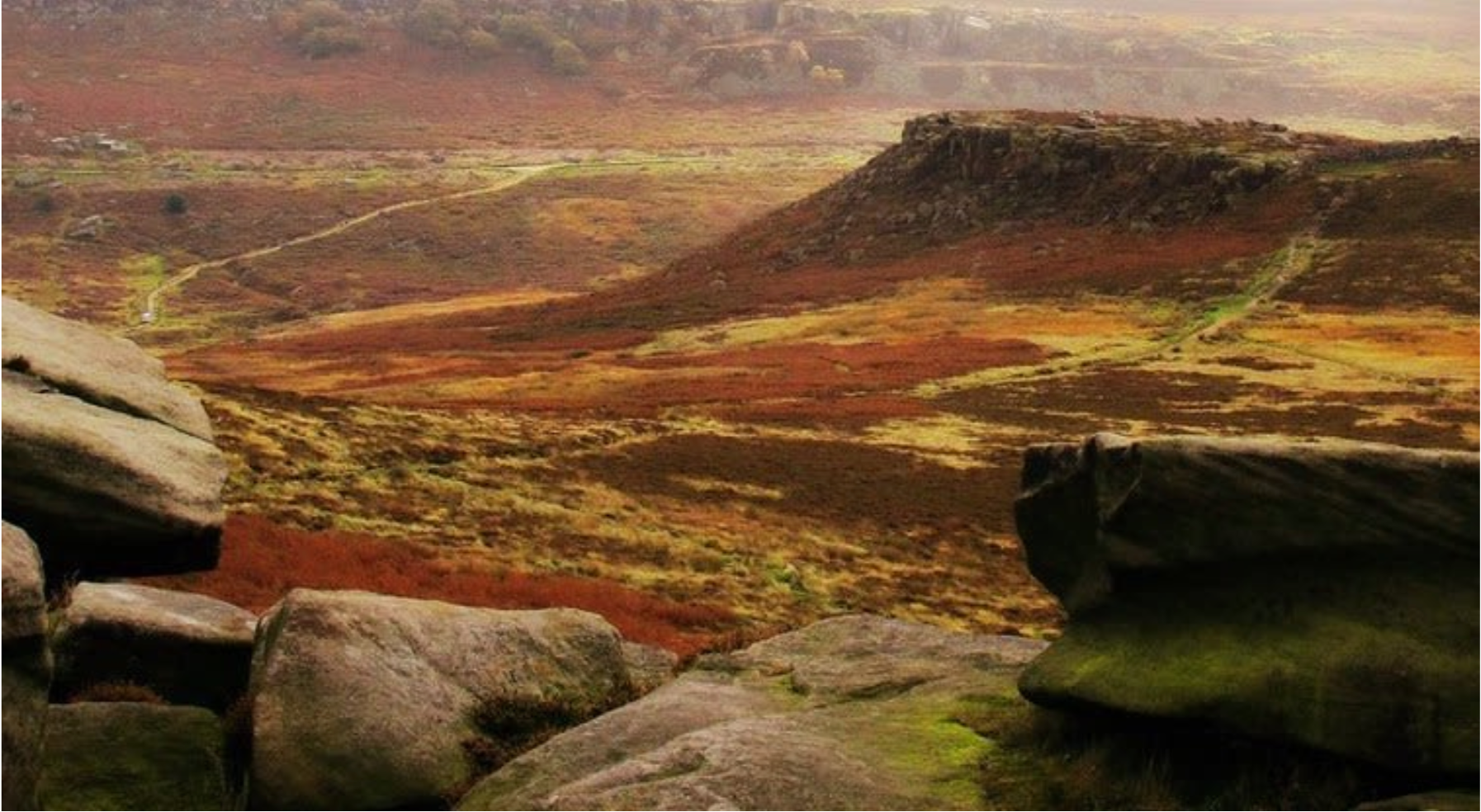Secondary header image