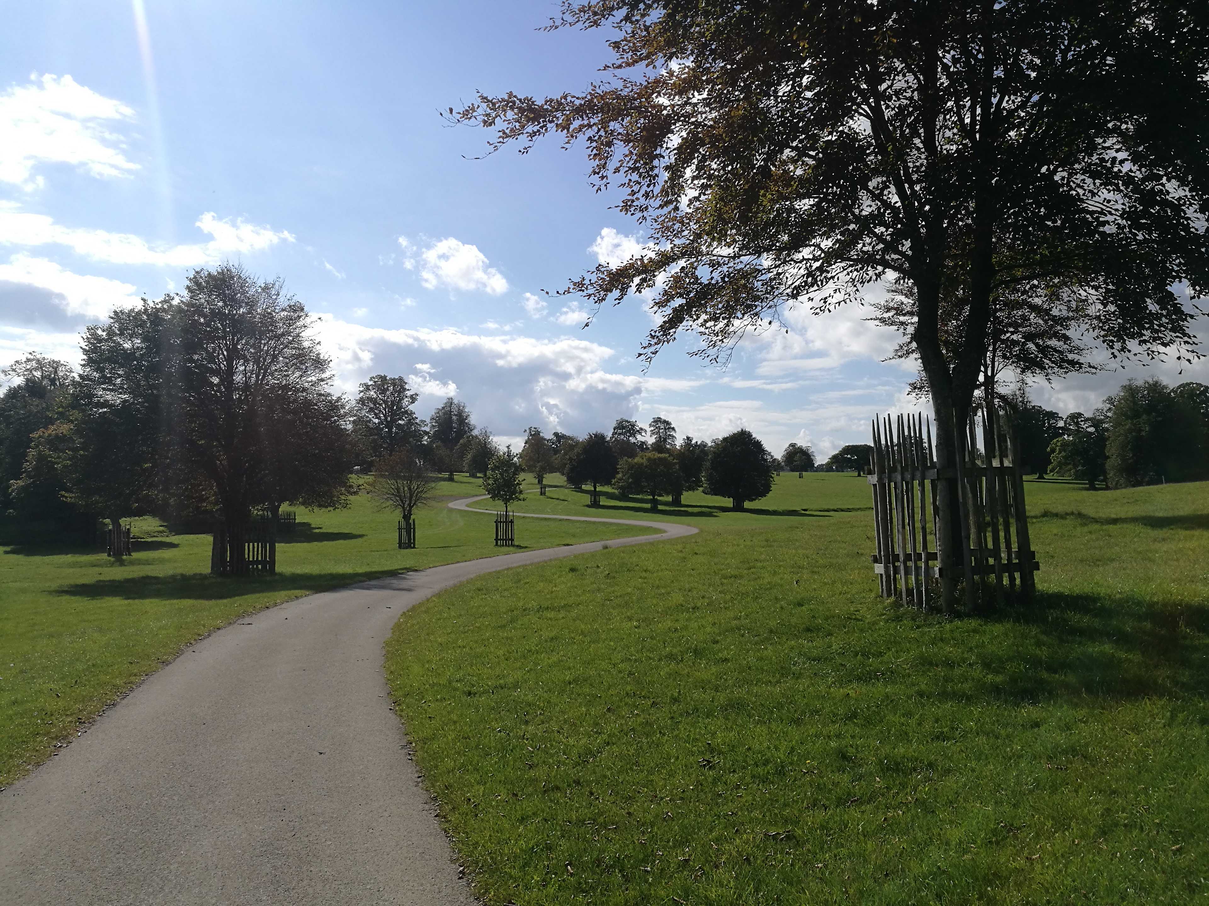 Secondary header image