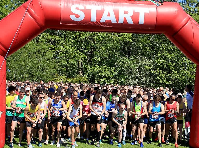 Secondary header image