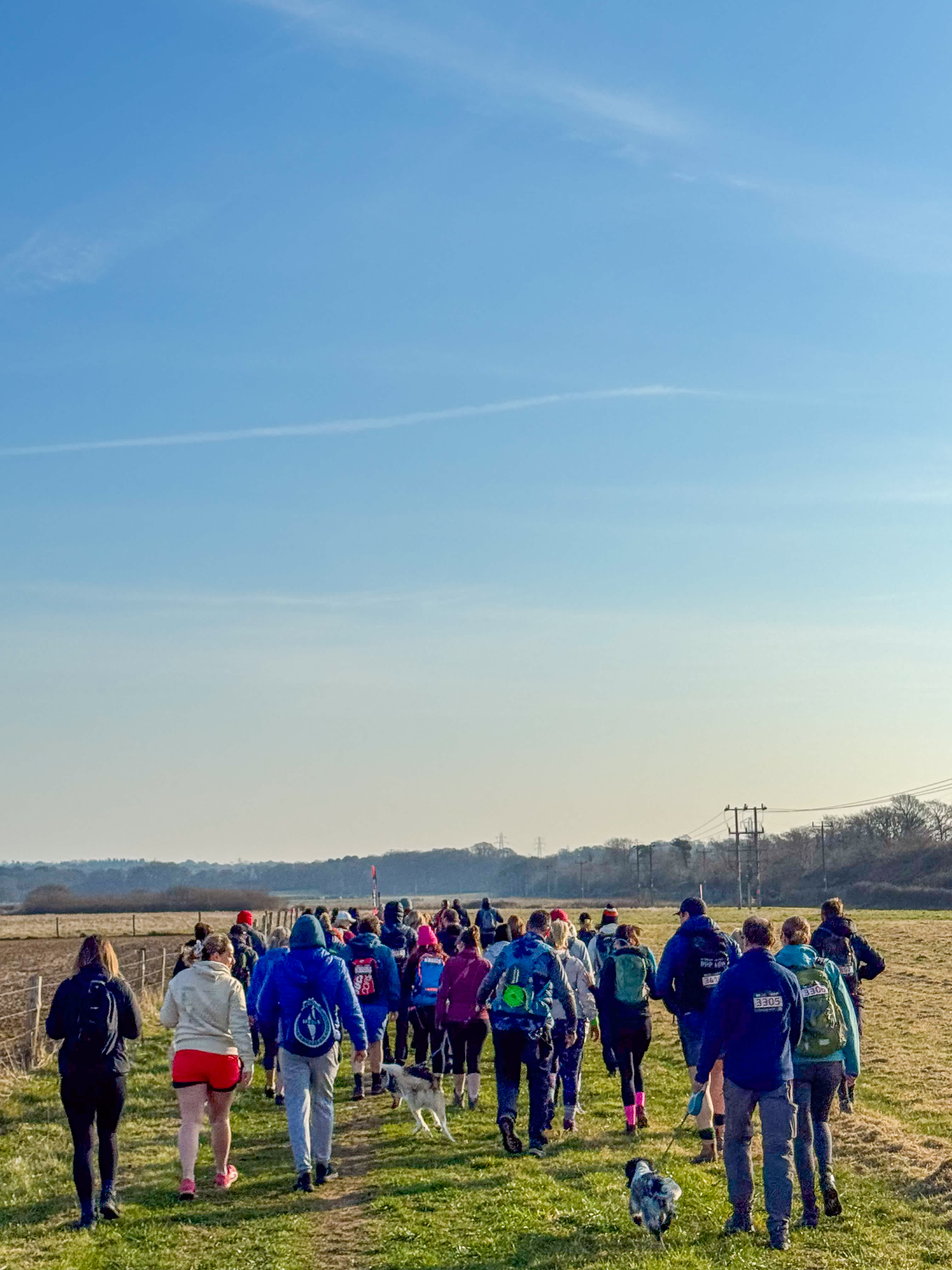 Secondary header image