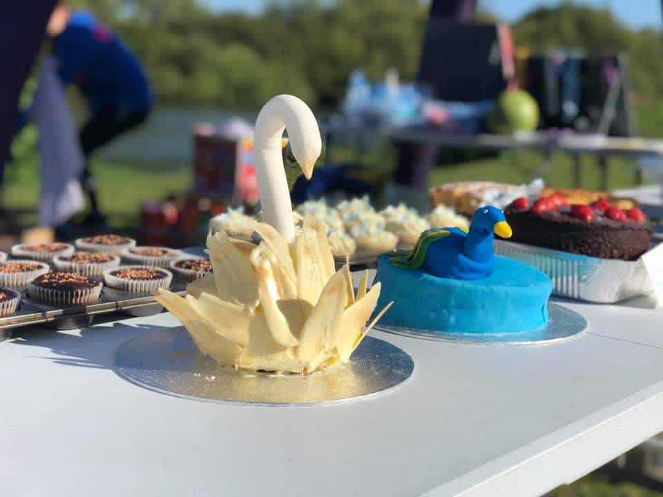 Secondary header image