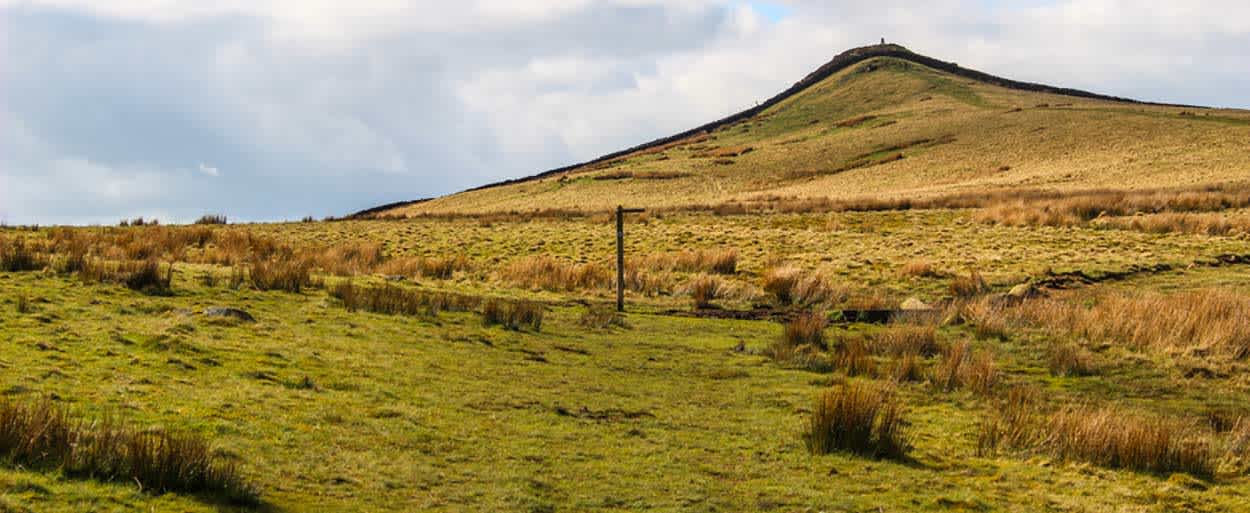 Secondary header image