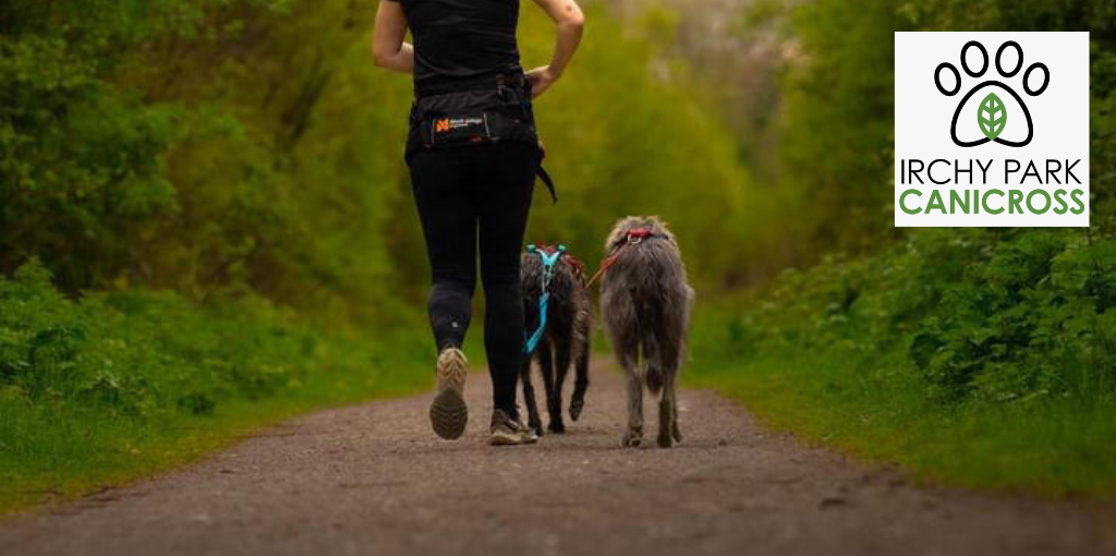 Secondary header image