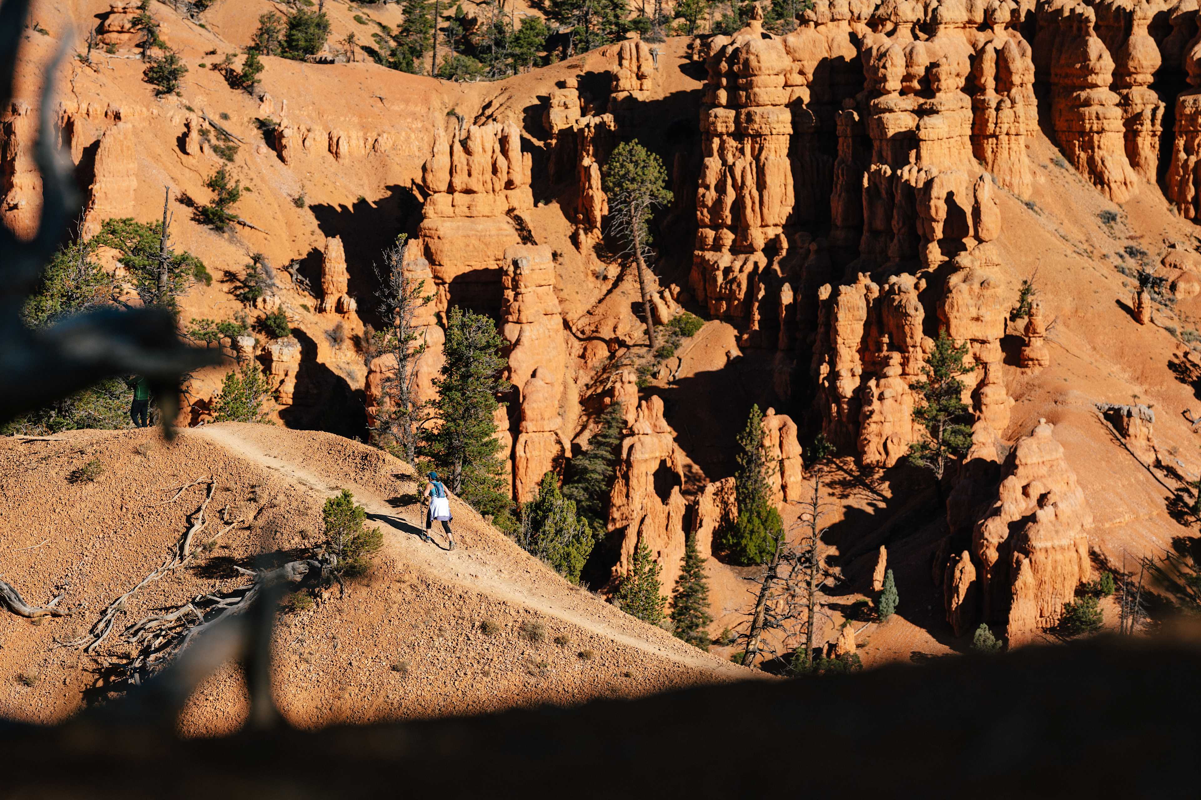 Secondary header image