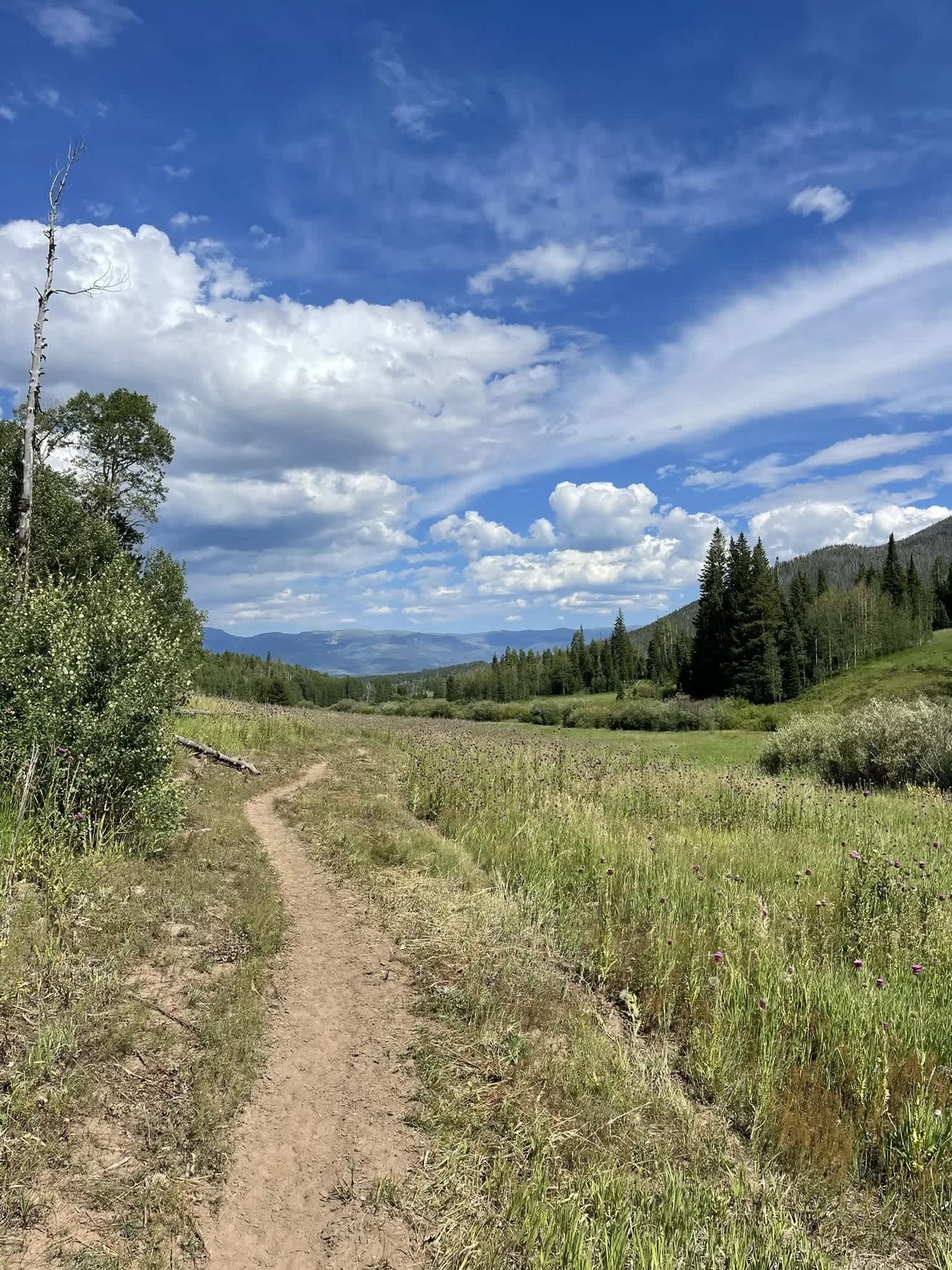 Secondary header image