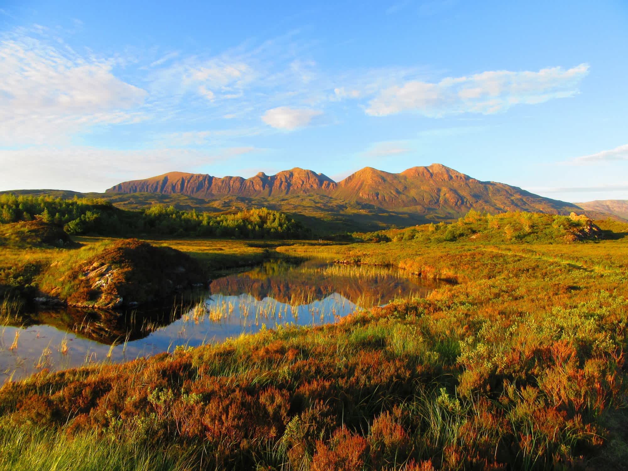 Secondary header image