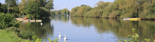 Secondary header image