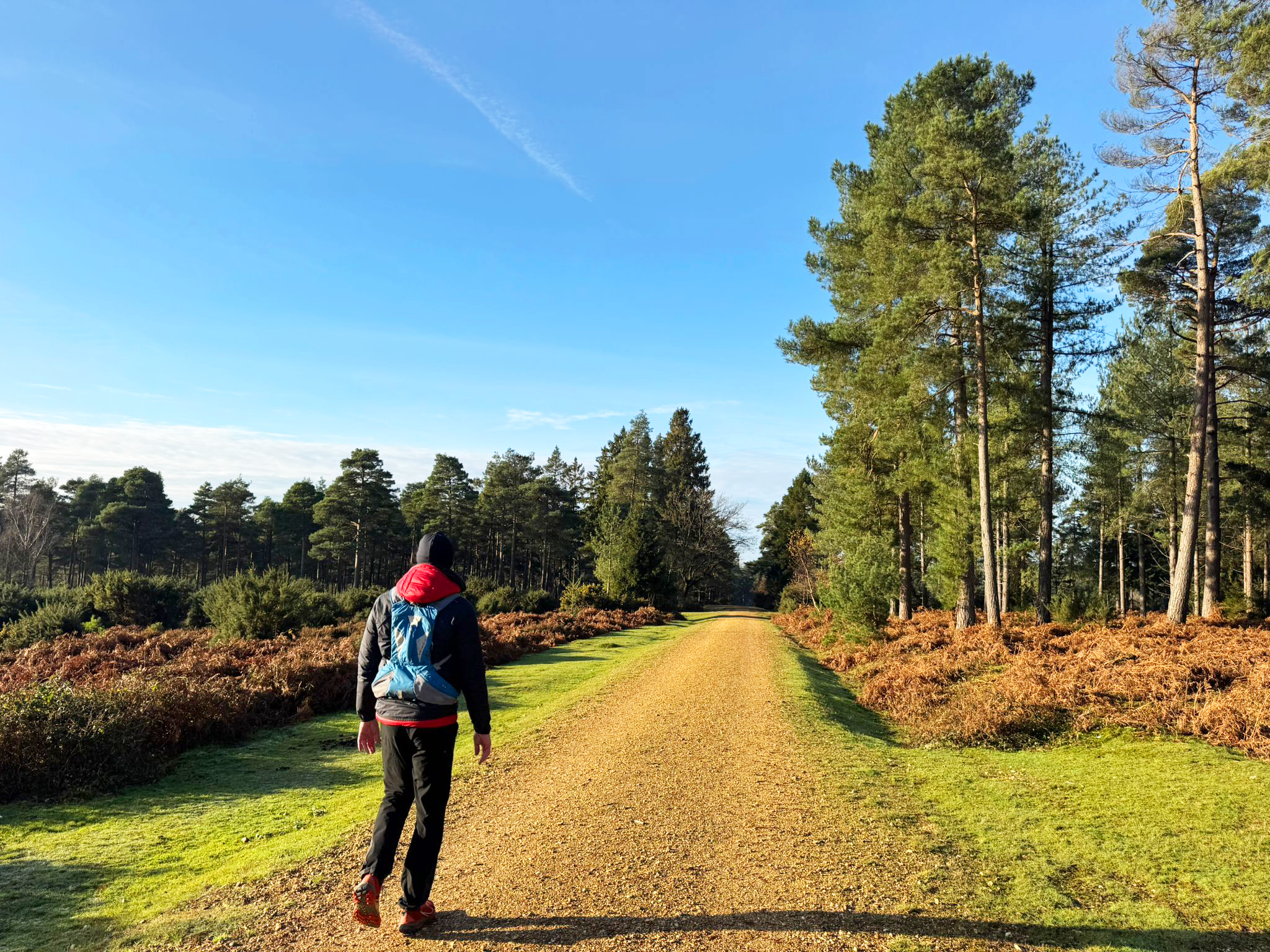 Secondary header image