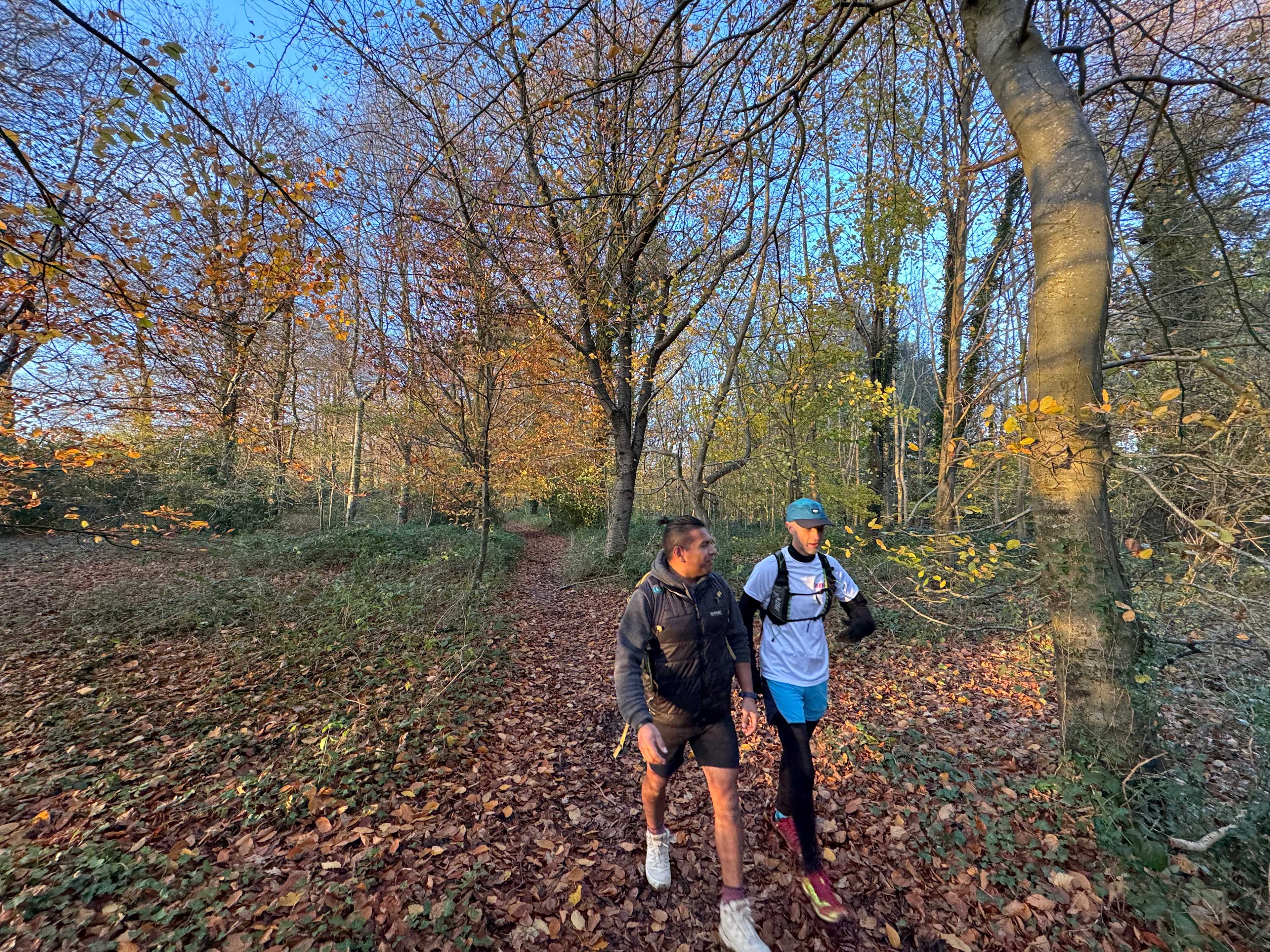 Secondary header image