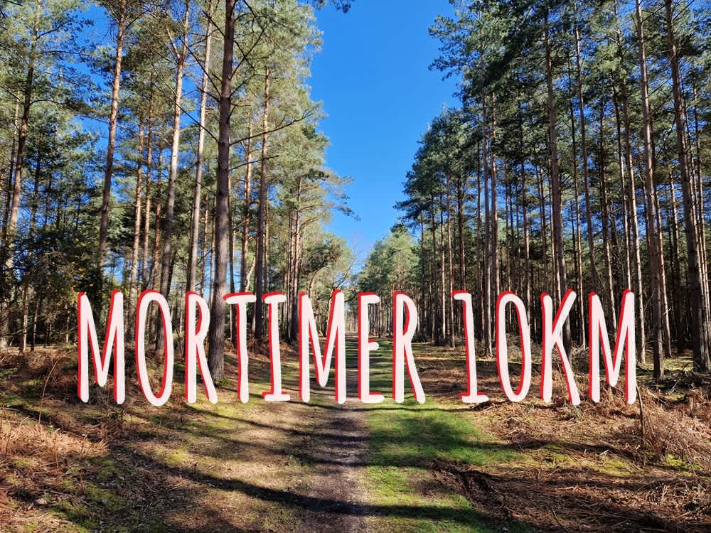 Secondary header image