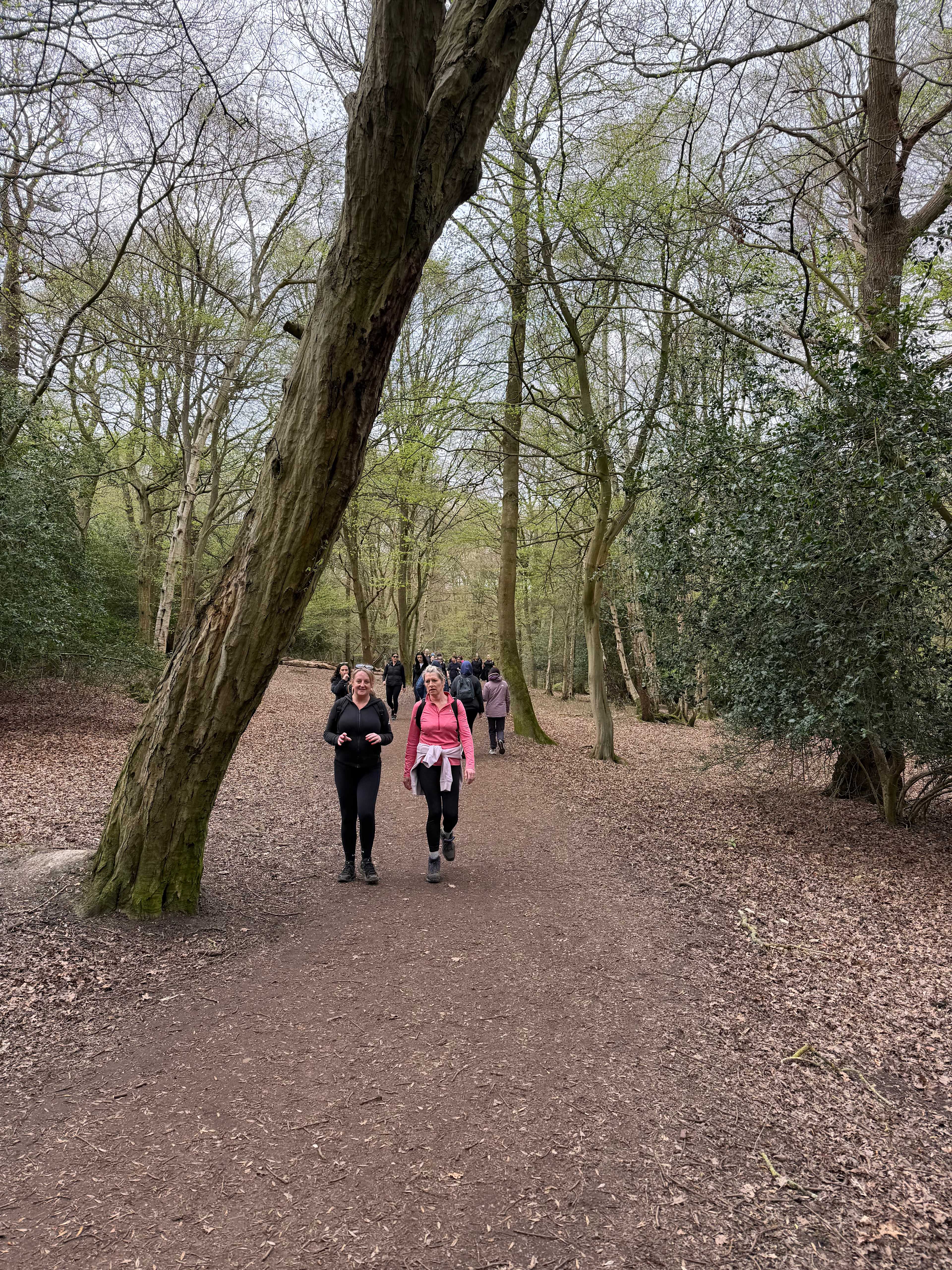 Secondary header image