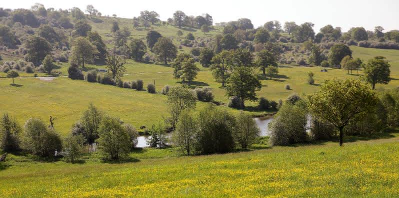 Secondary header image