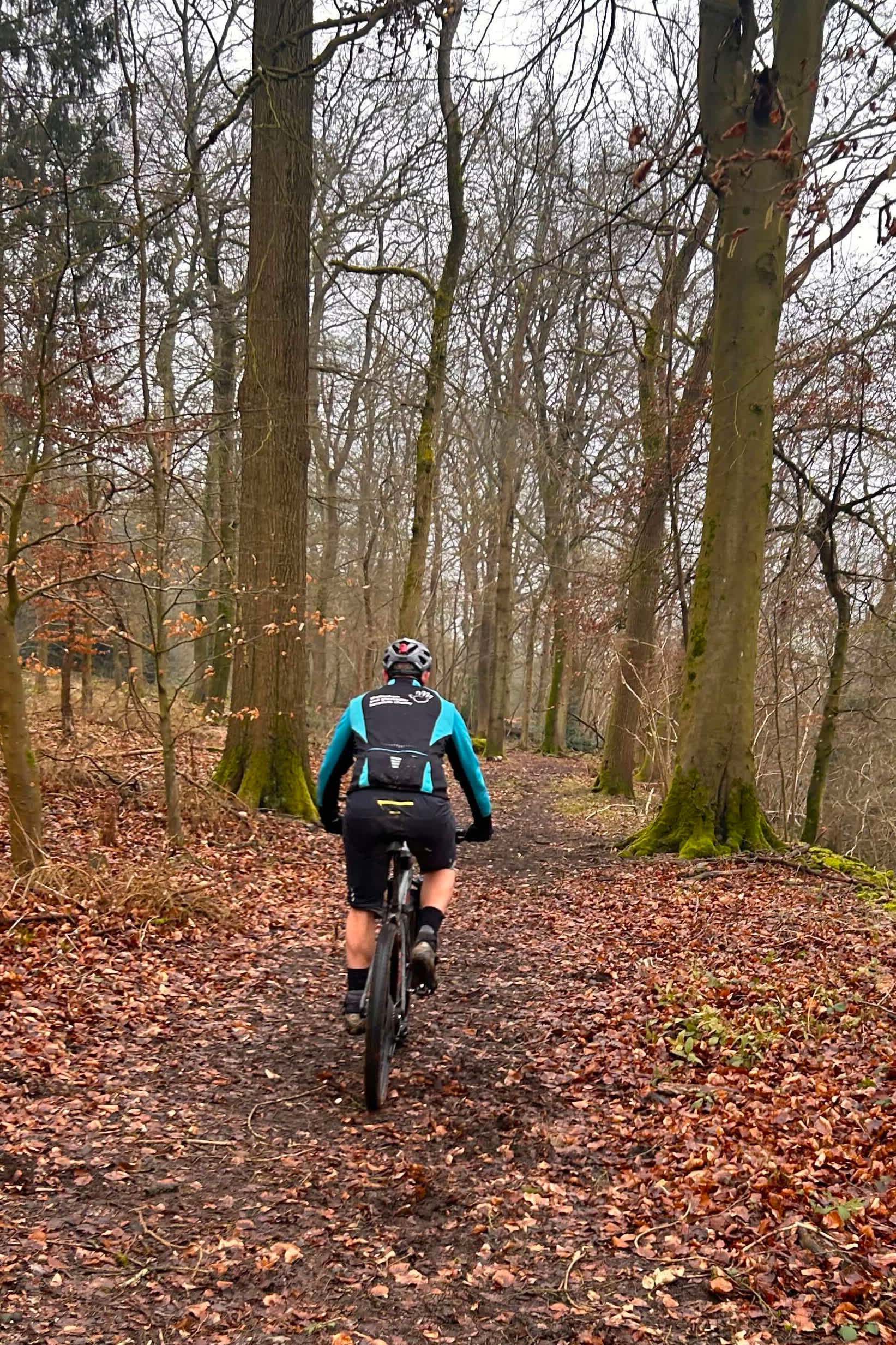 Secondary header image