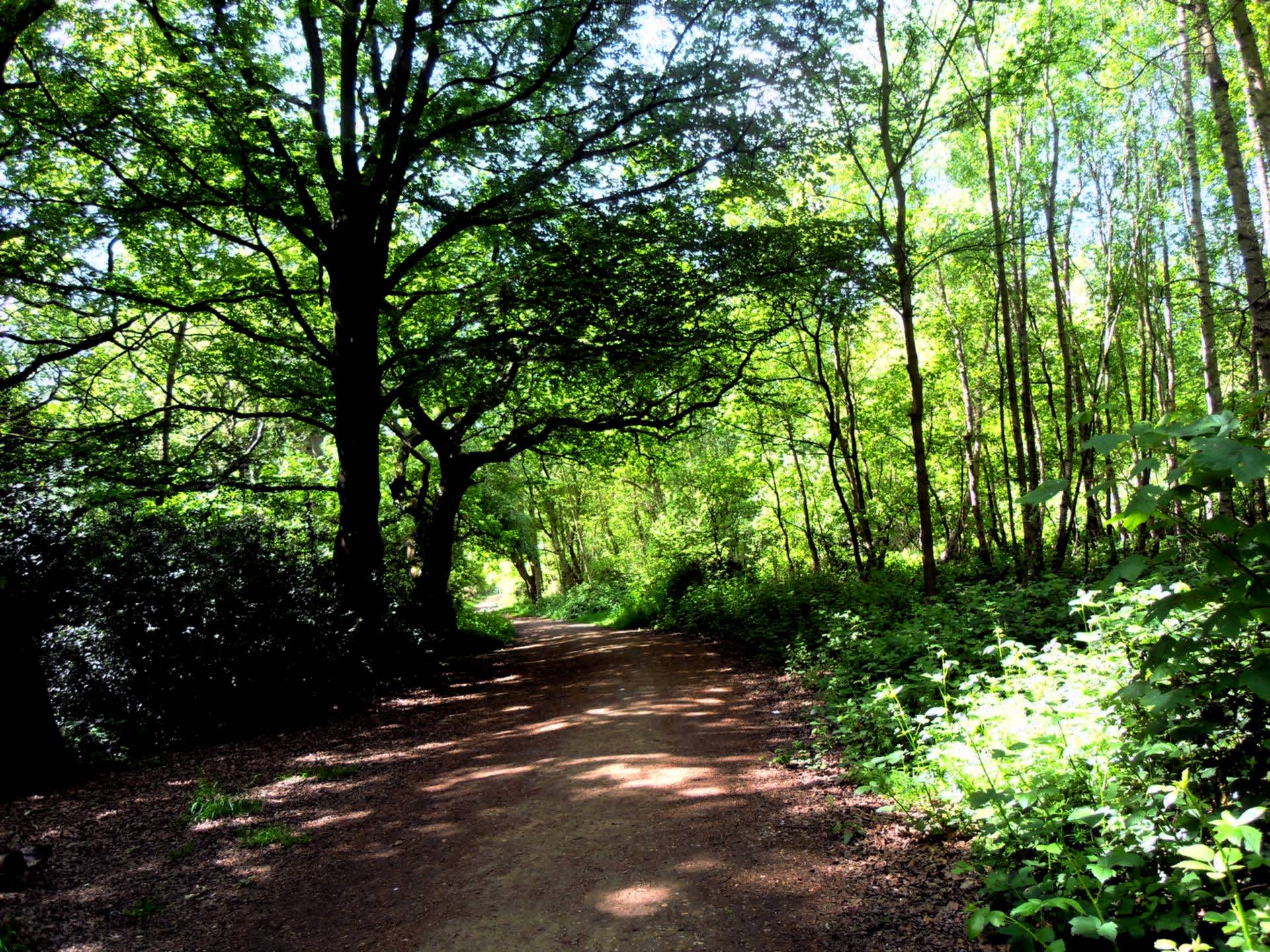 Secondary header image