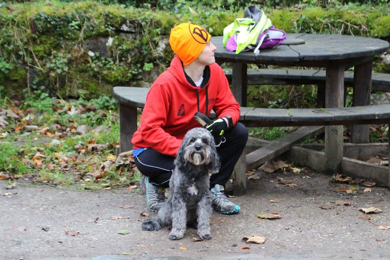 Secondary header image