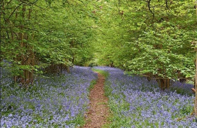 Secondary header image