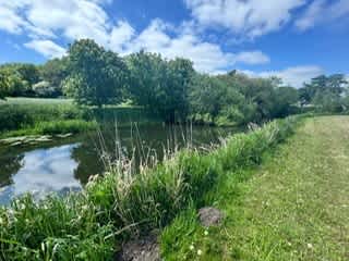 Secondary header image