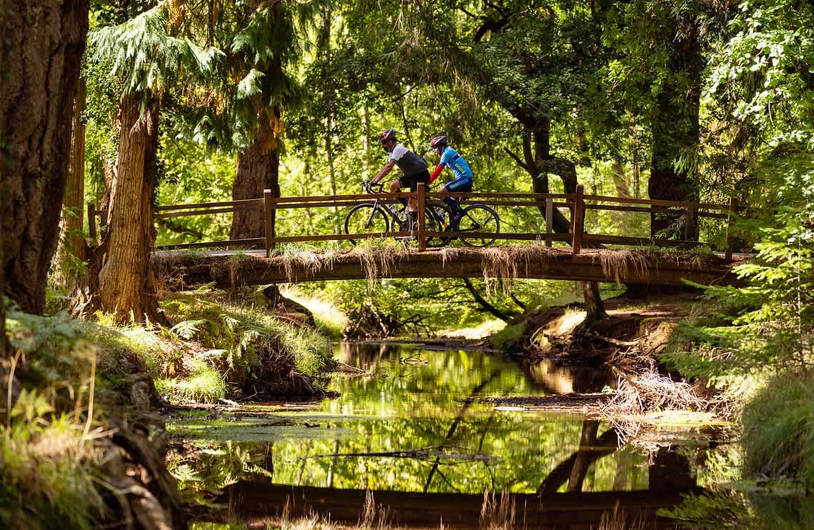 Secondary header image