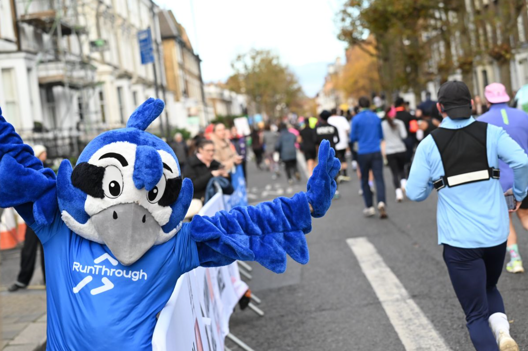 Secondary header image