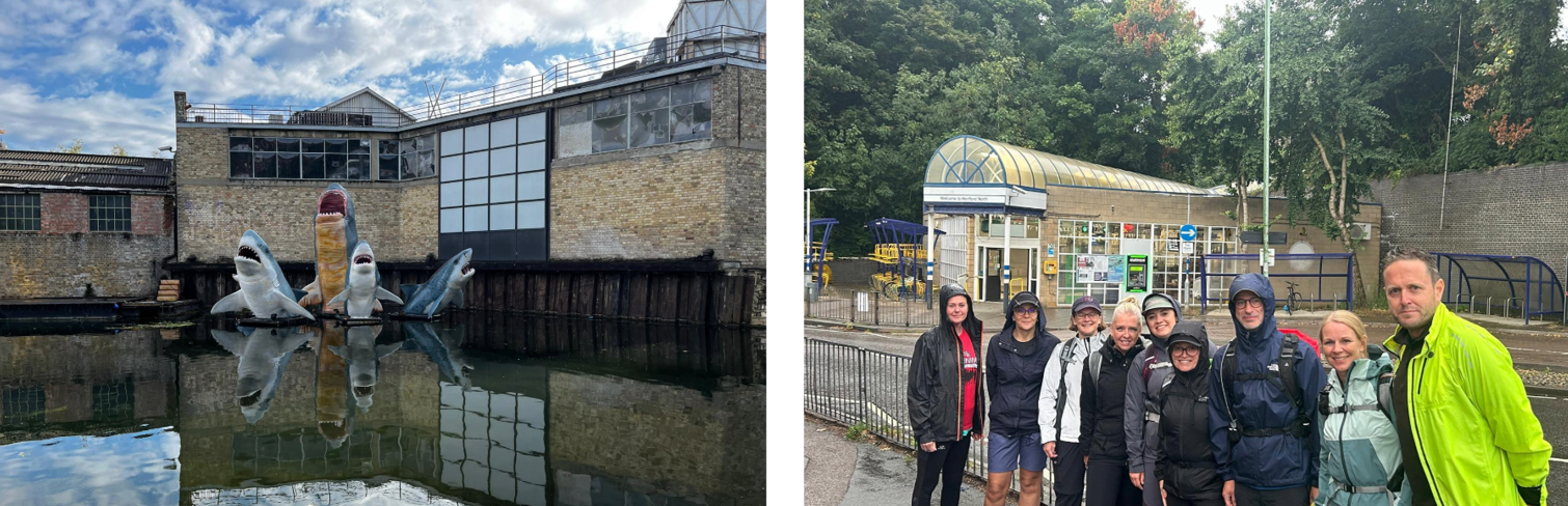 Secondary header image