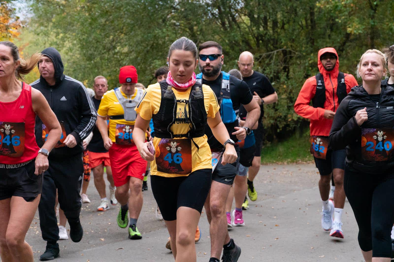 Secondary header image