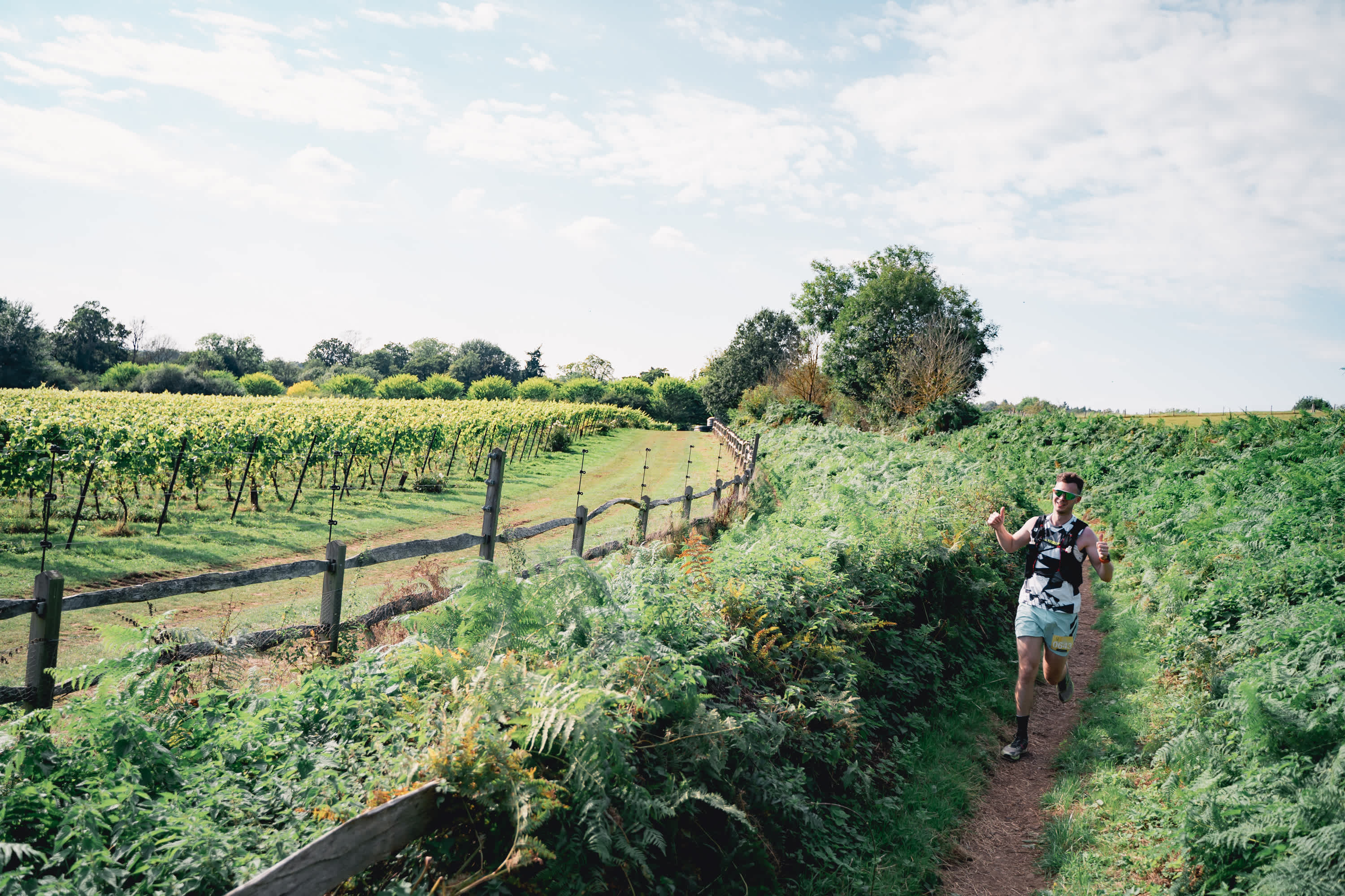 Secondary header image