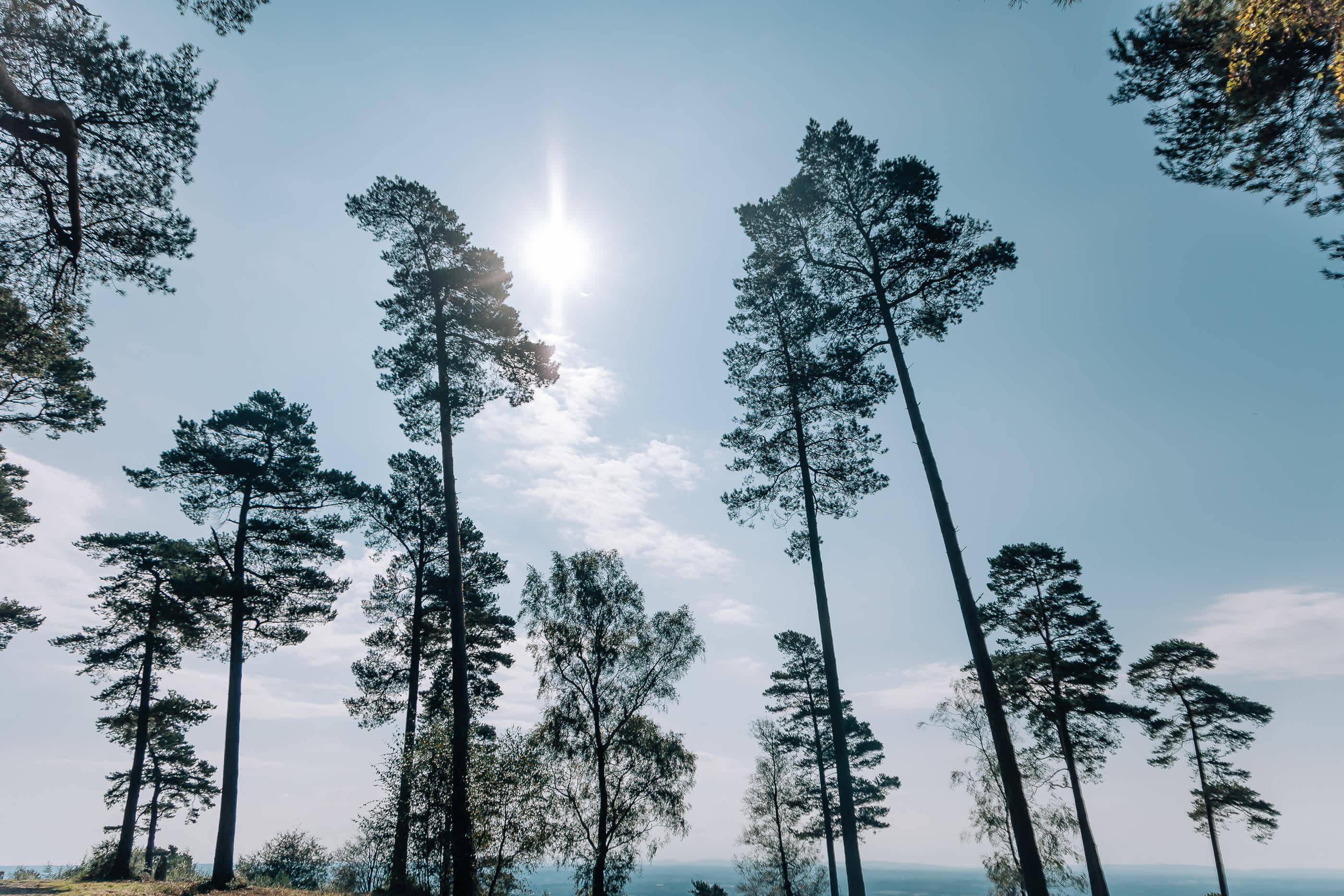 Secondary header image