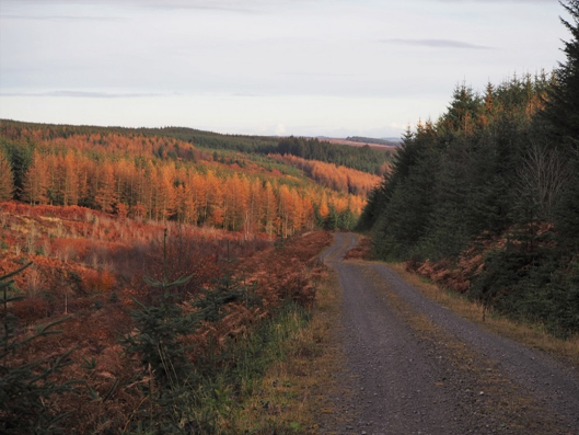 Secondary header image