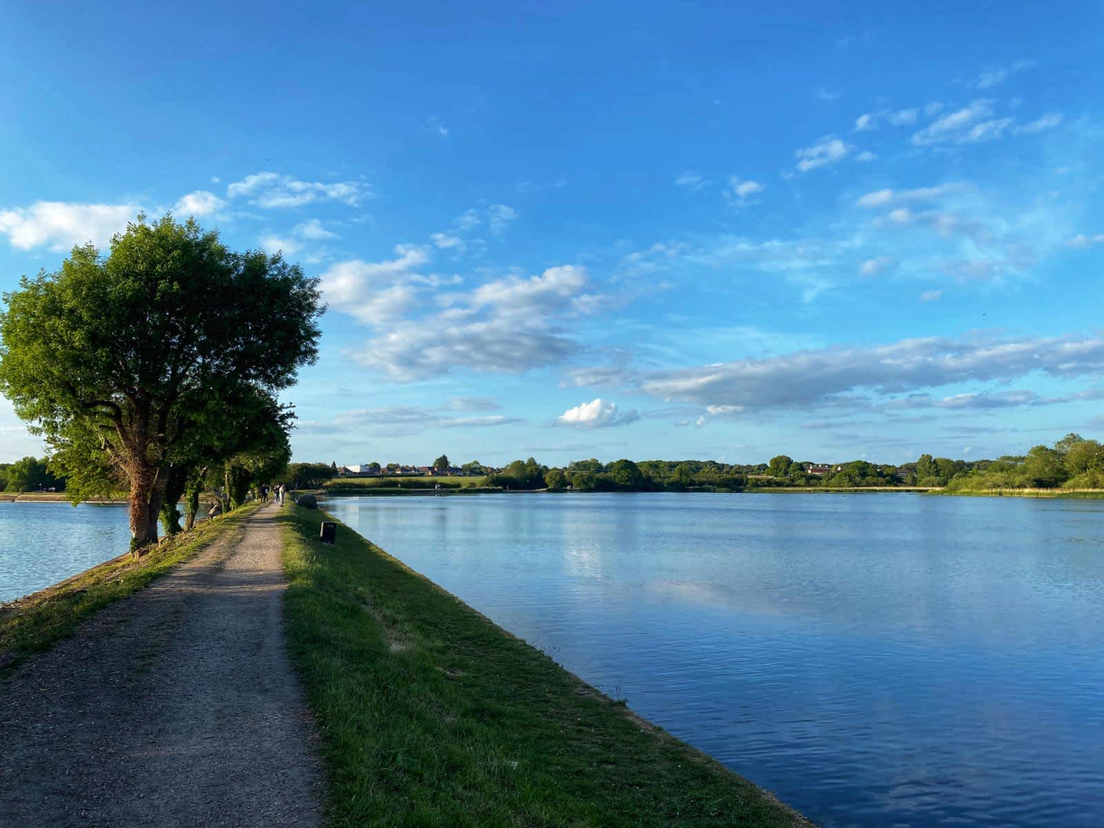 Secondary header image