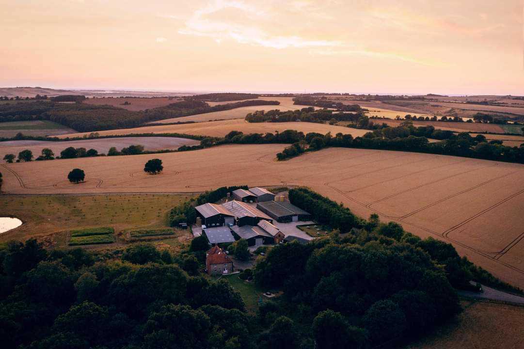 Secondary header image