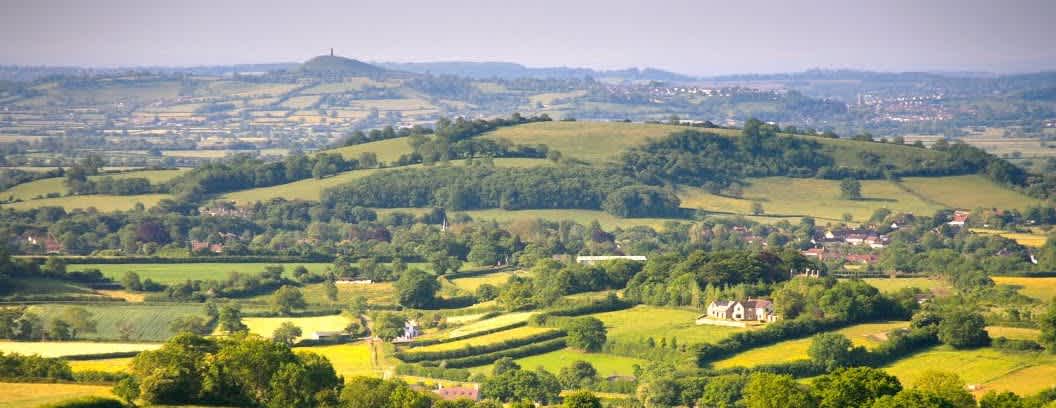 Secondary header image