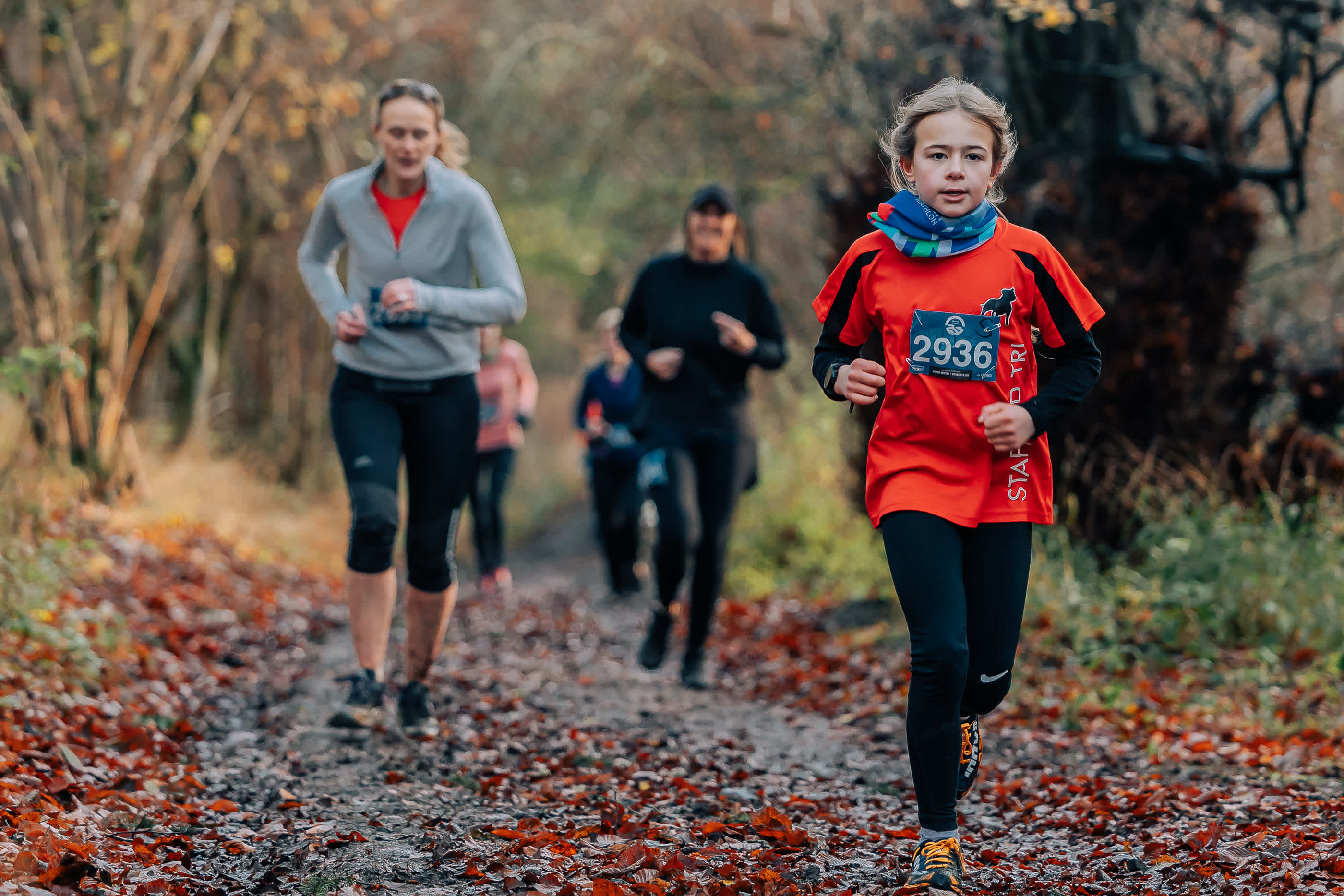 Secondary header image