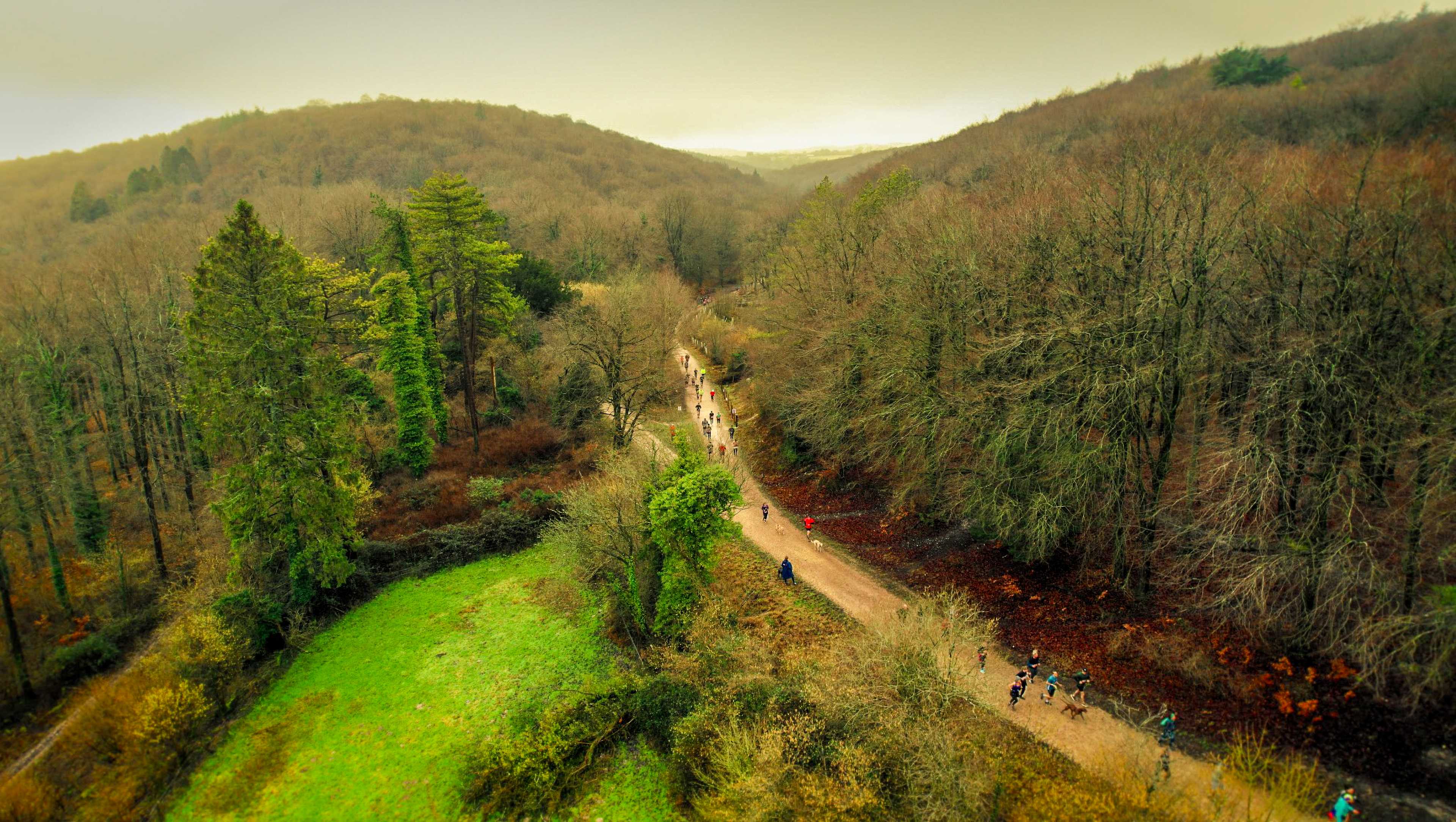 Secondary header image