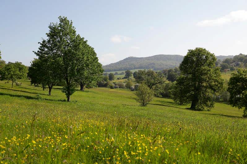 Secondary header image