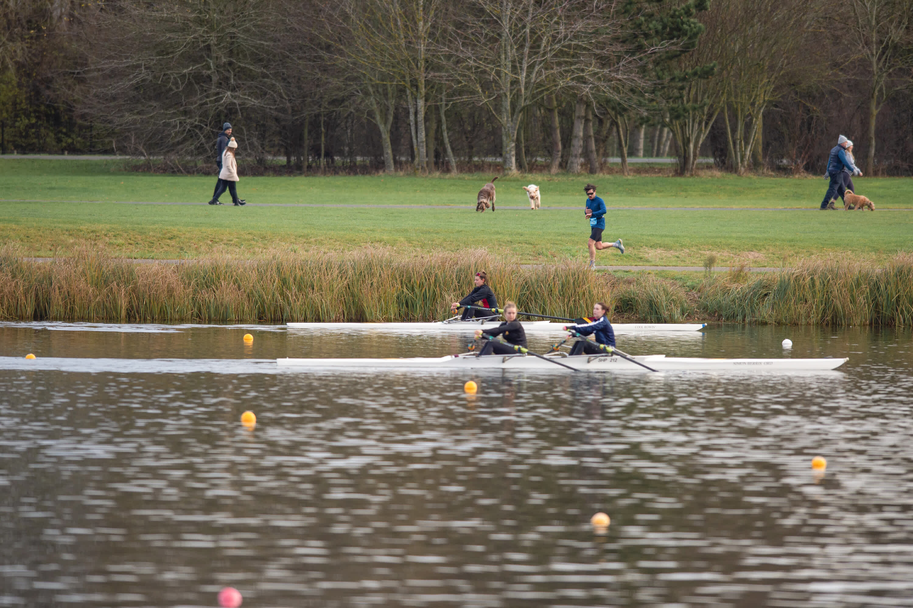 Secondary header image