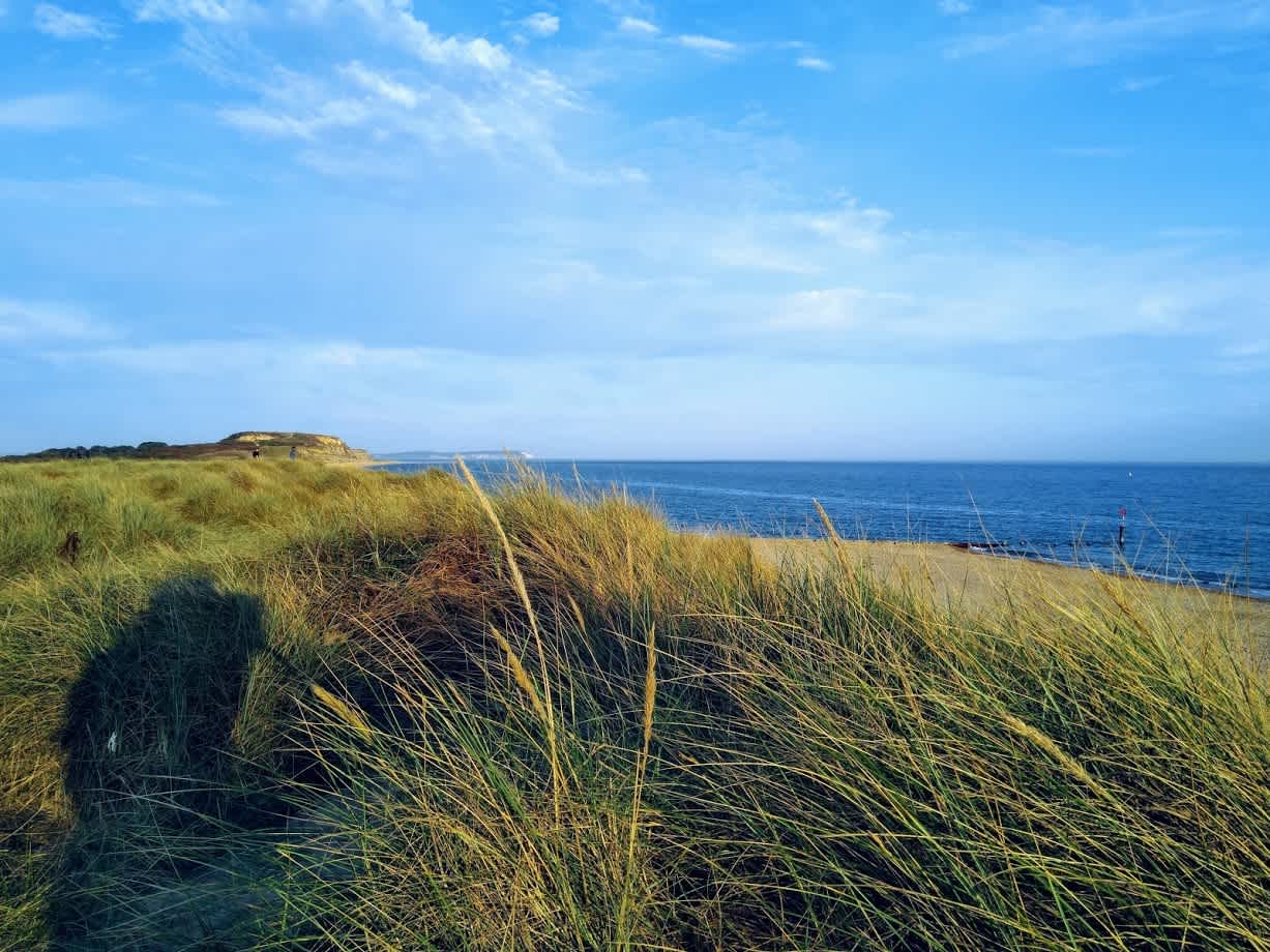 Secondary header image