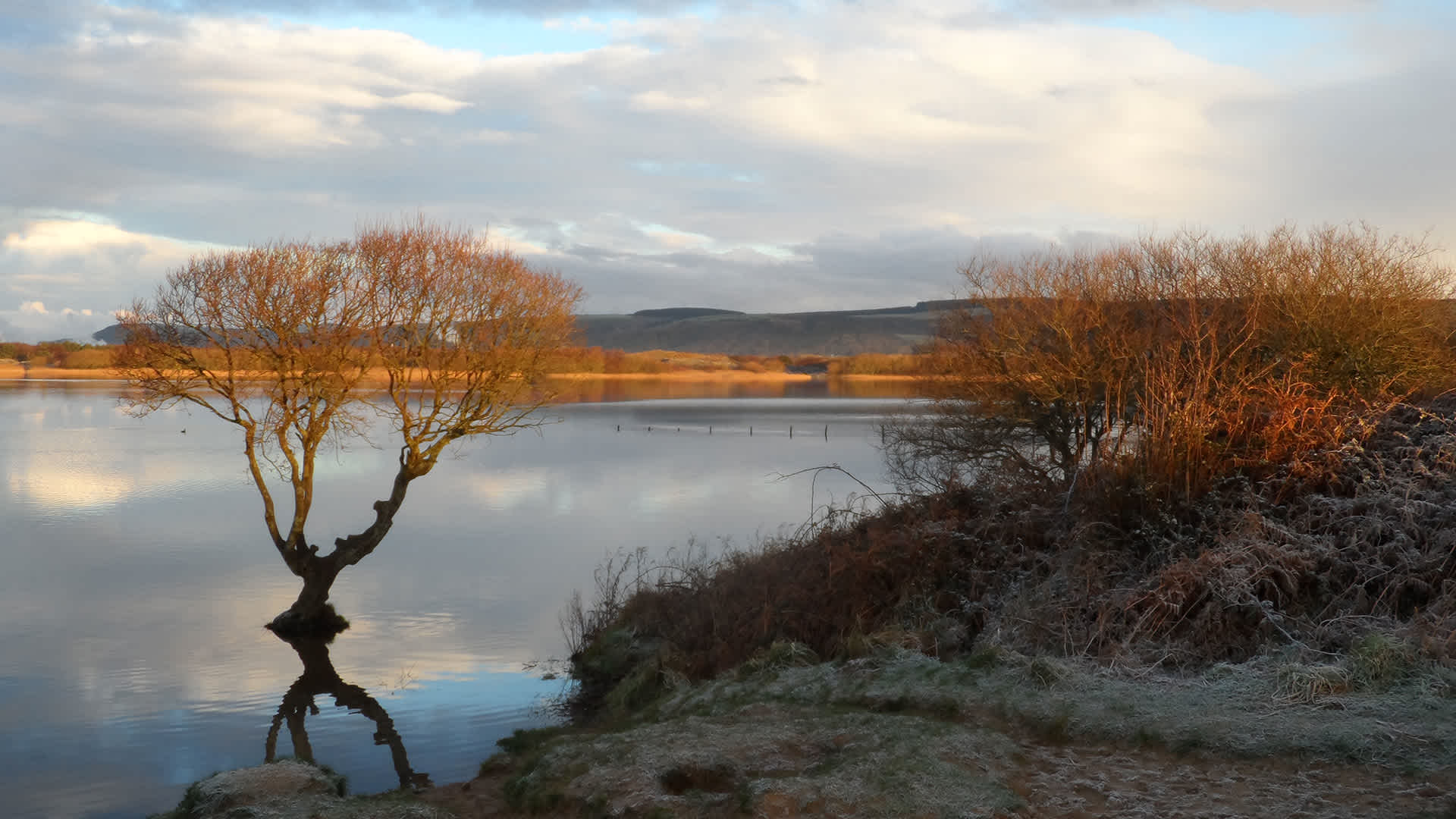 Secondary header image