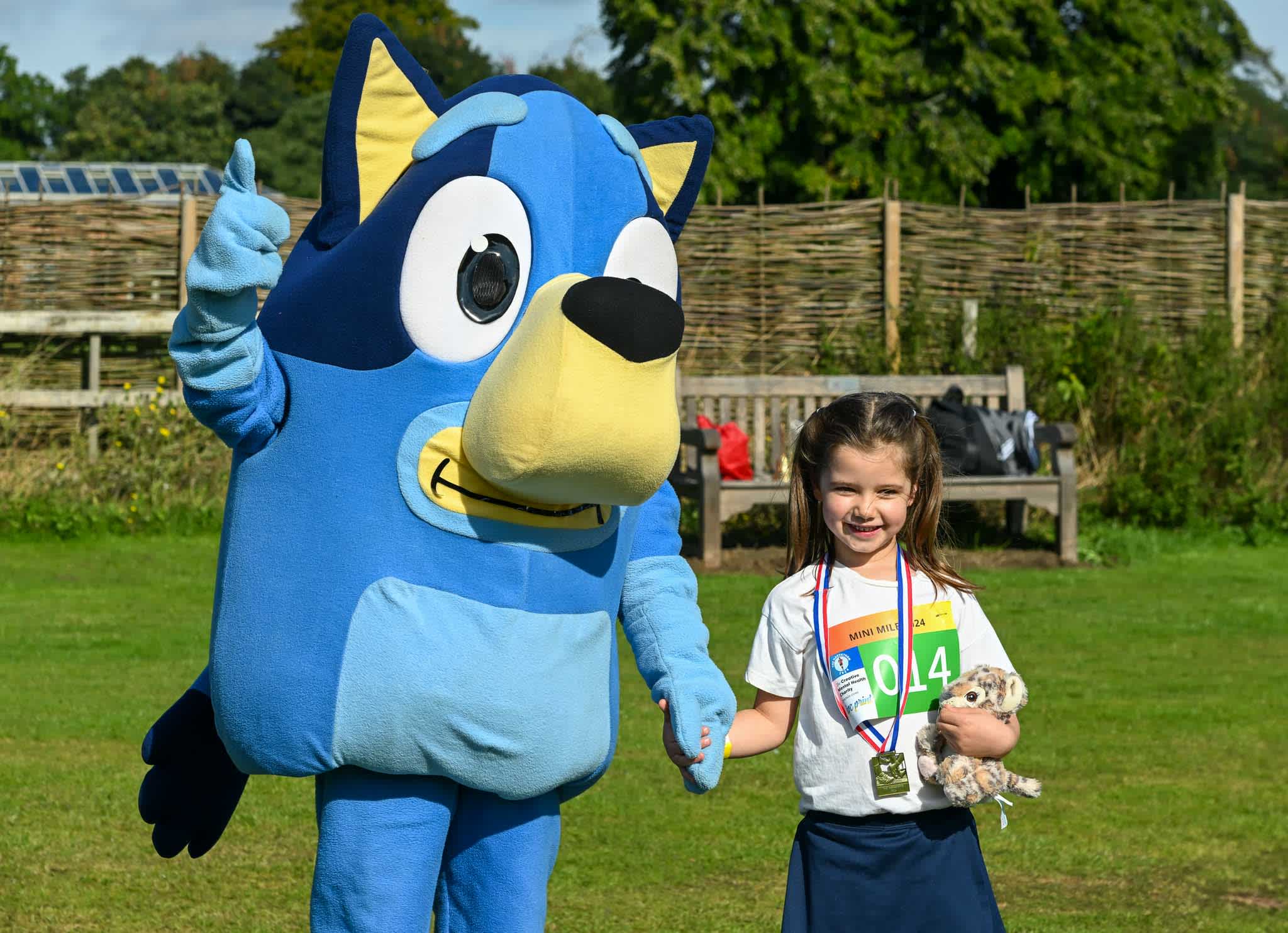 Secondary header image