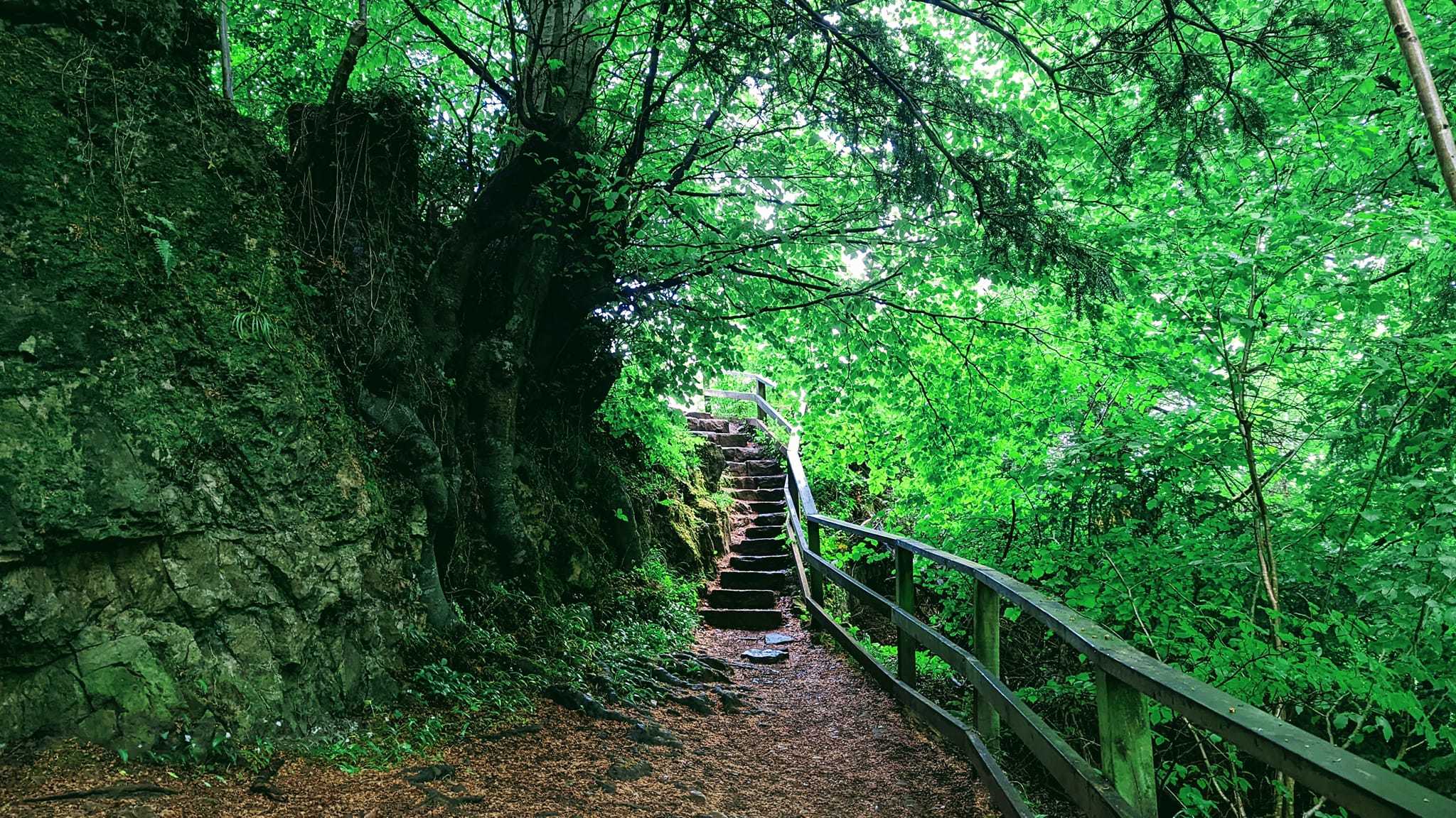 Secondary header image