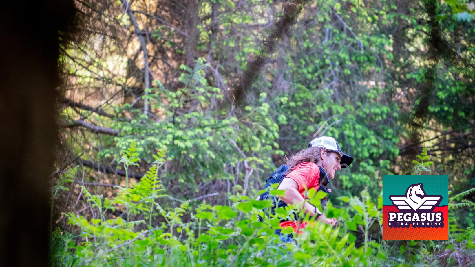 Secondary header image