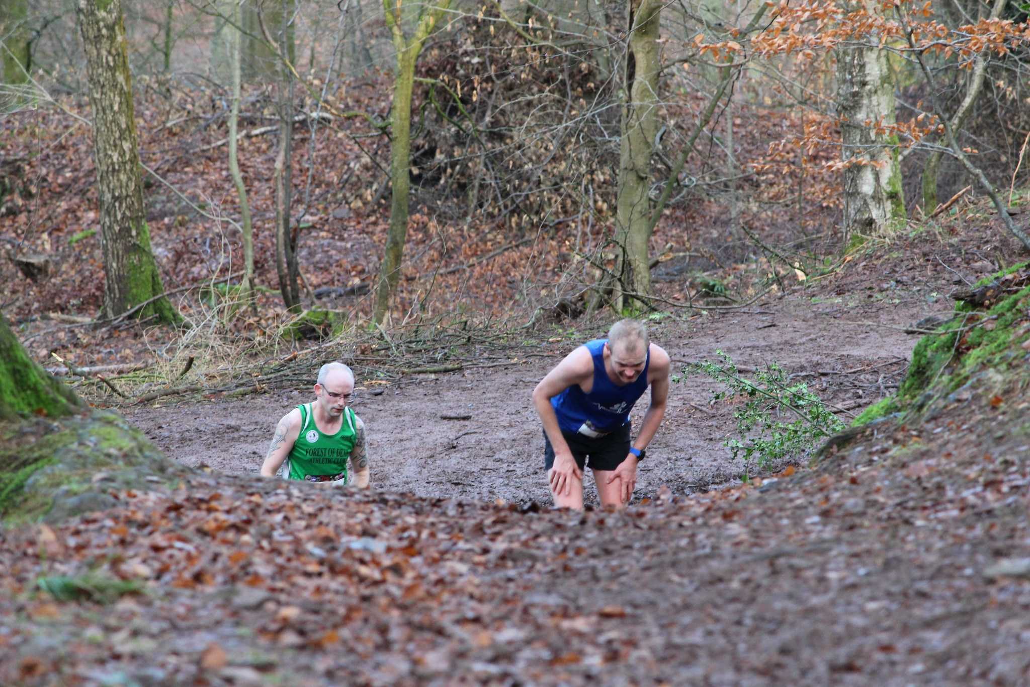 Secondary header image