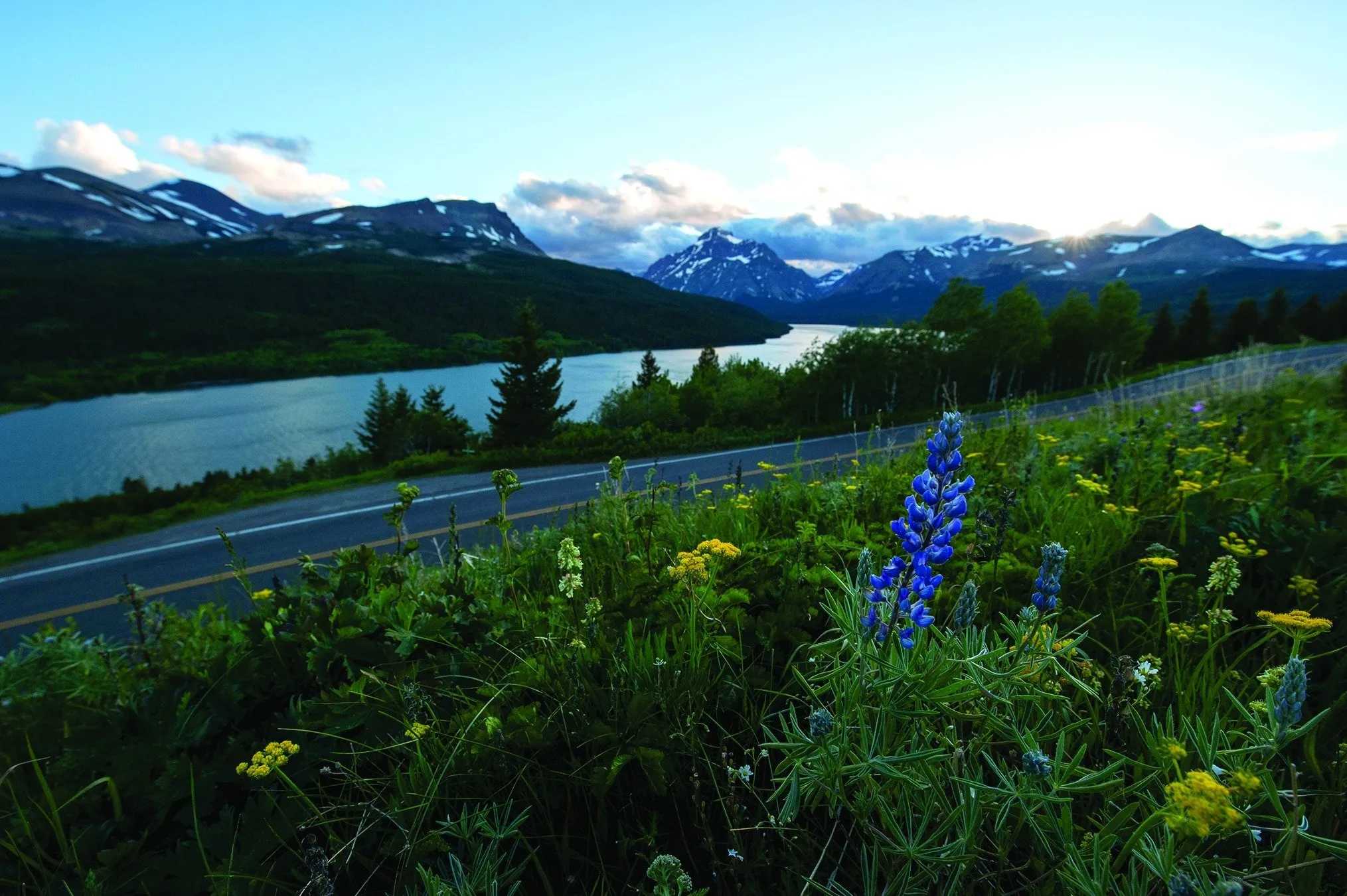 Secondary header image