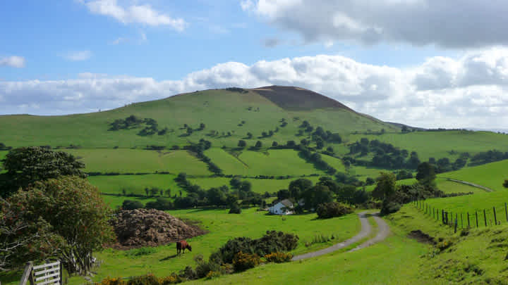 Secondary header image