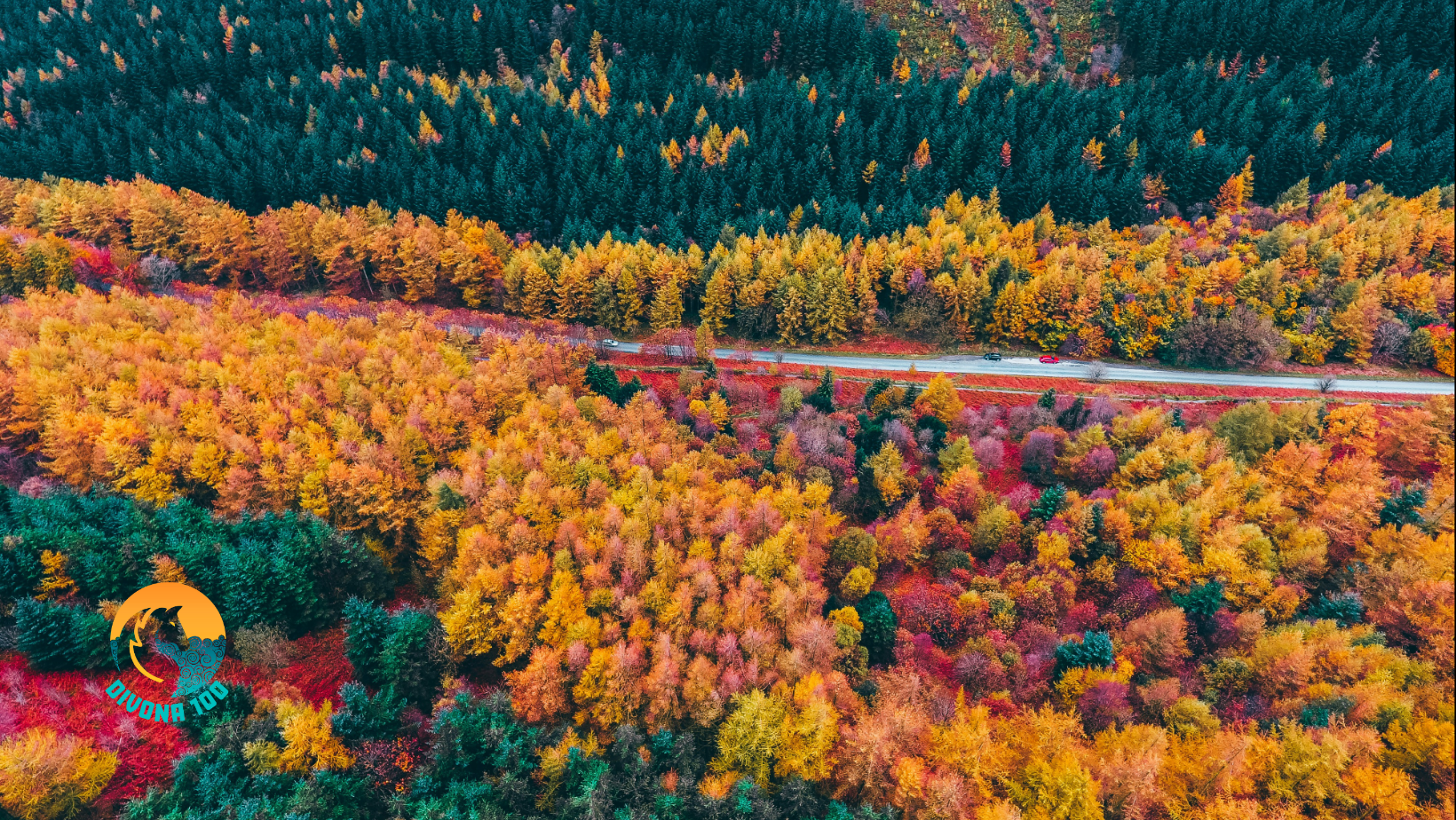 Secondary header image