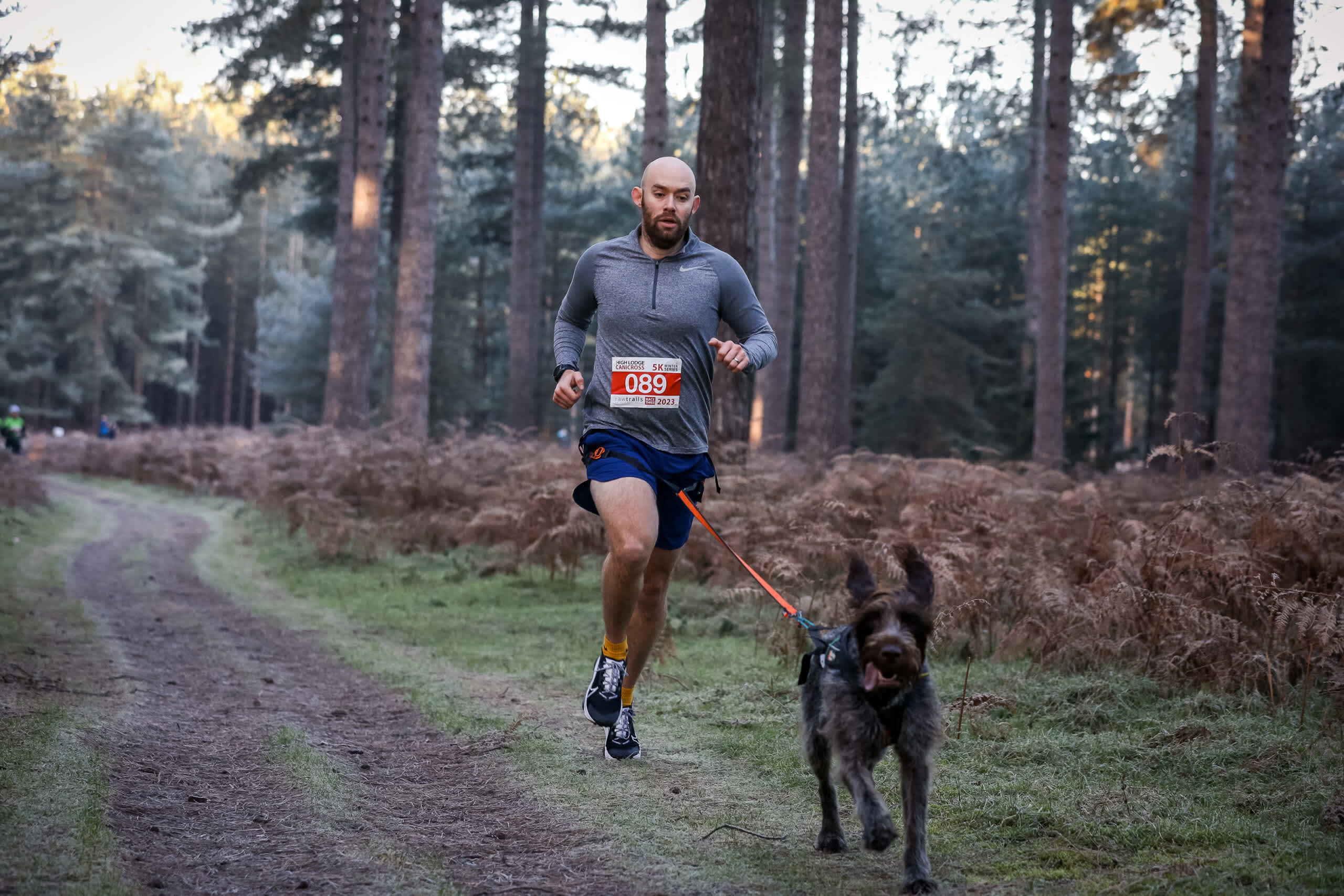 Secondary header image